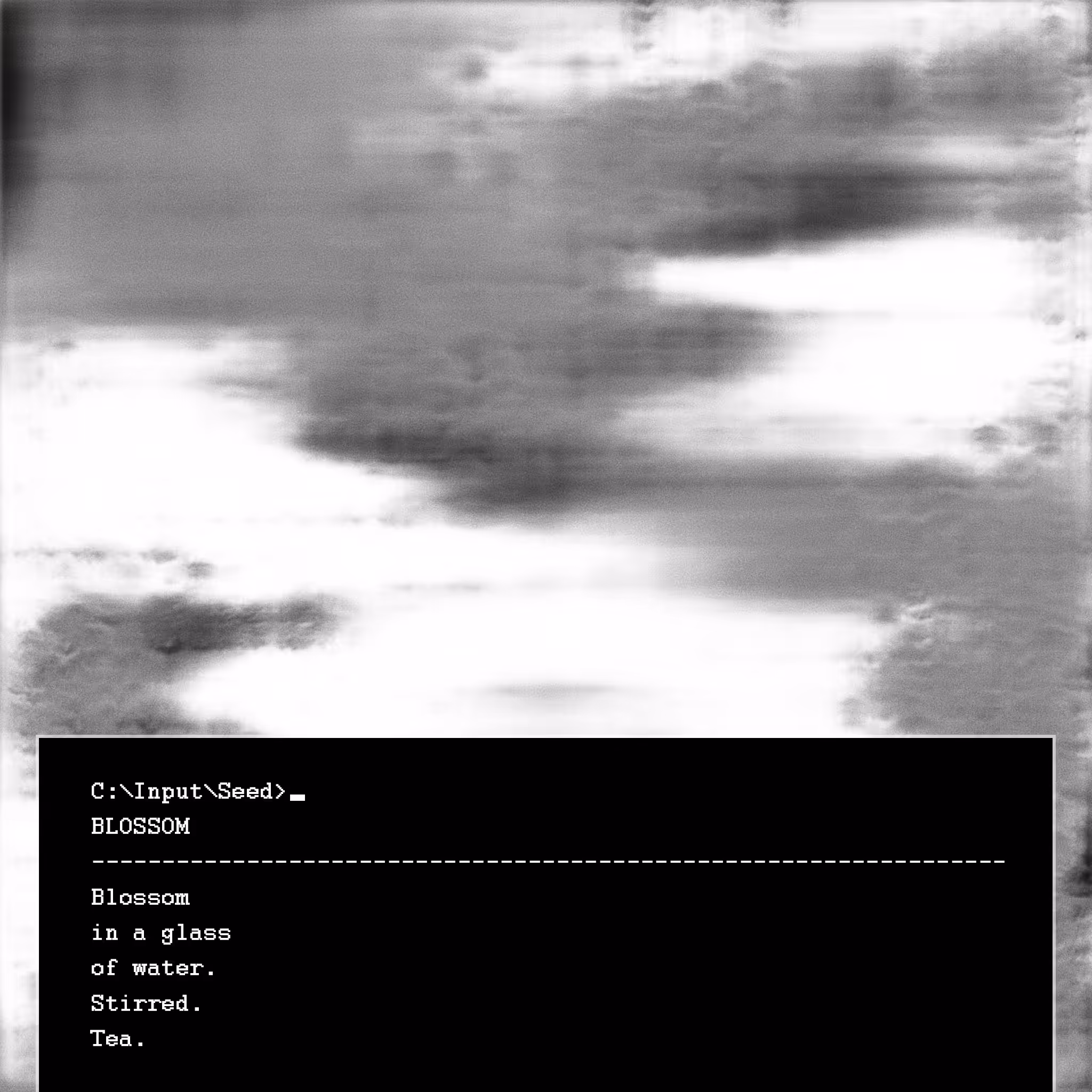 Seeds and Ashes - 10. blossom