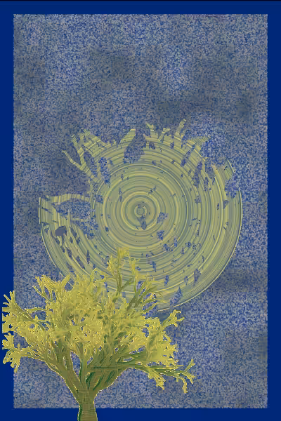illusion #19