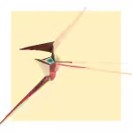 BRKN BRD 01