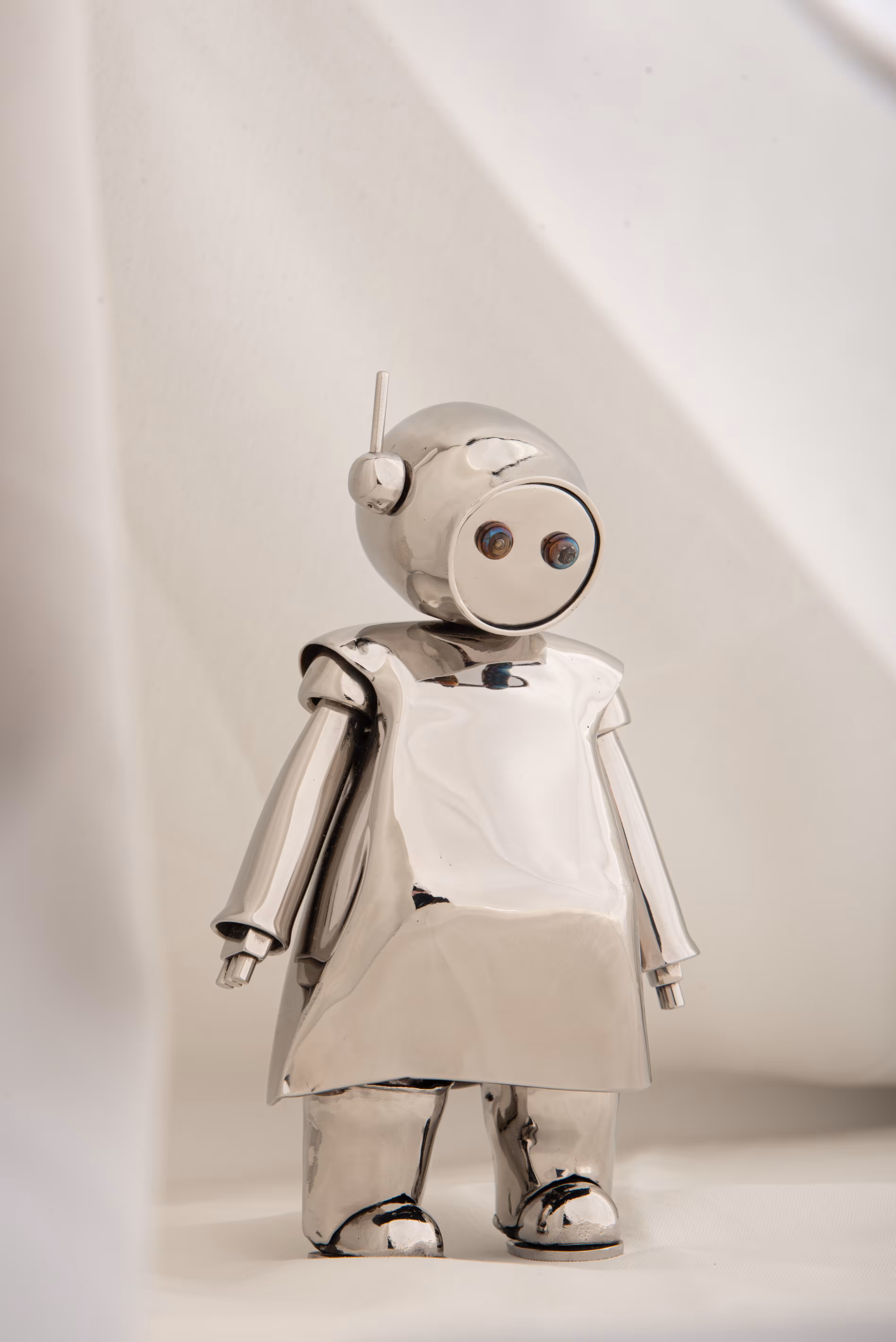 The Robot