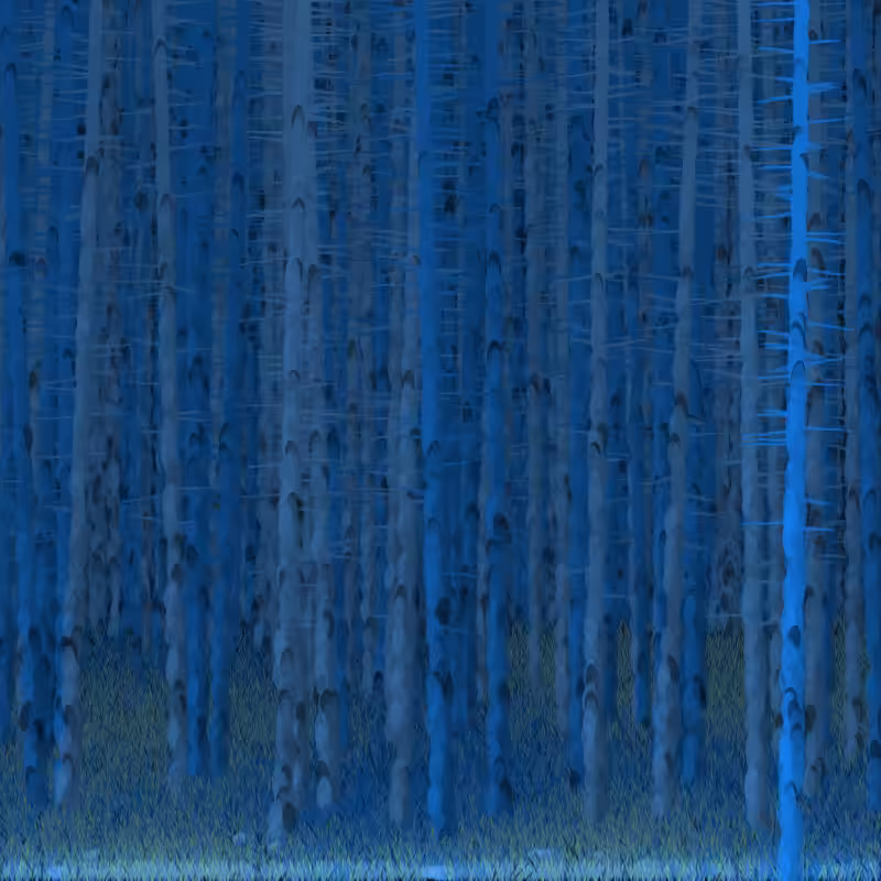 Berkenbos #13
