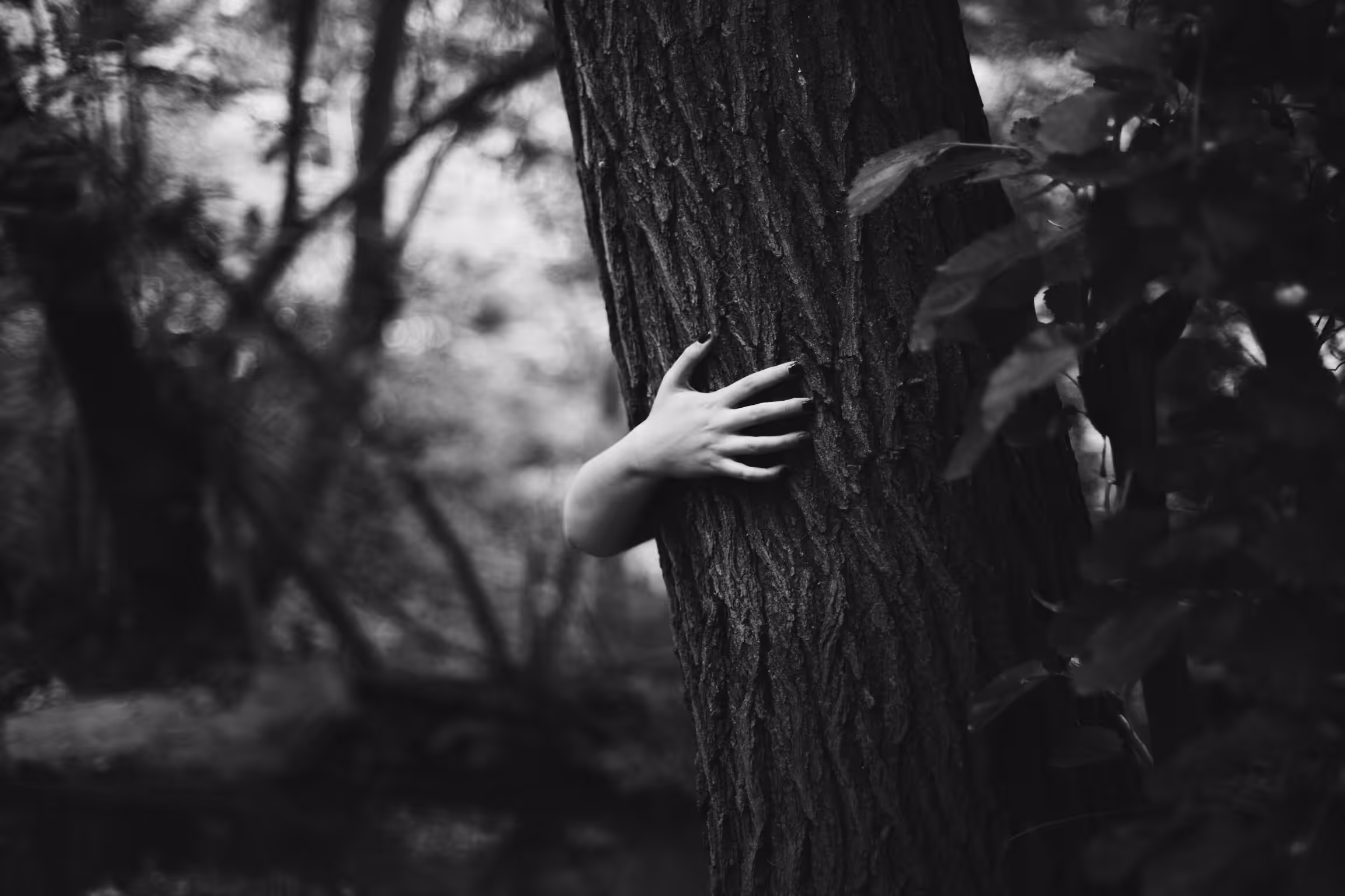 Touch