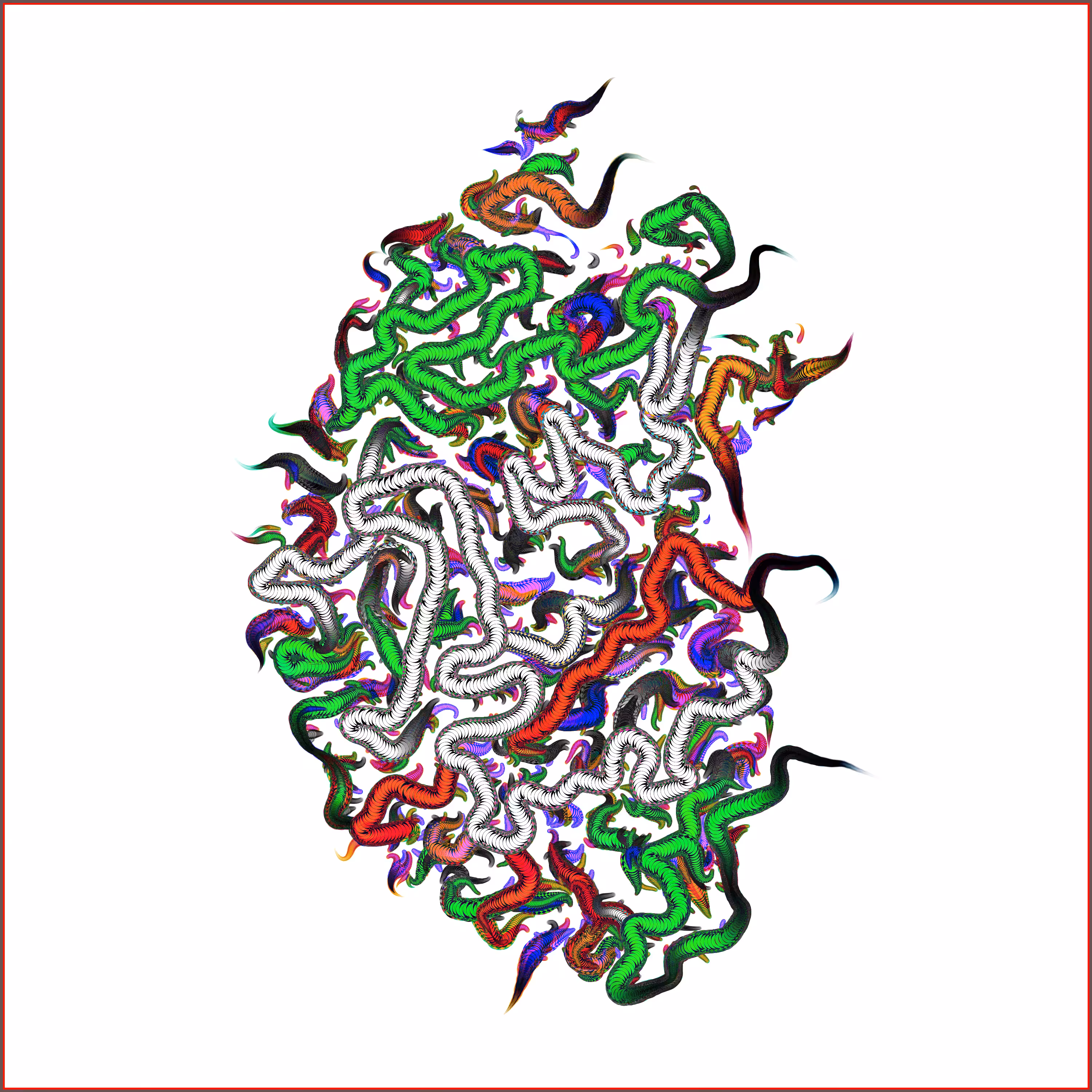 Heart Worm (Anatomical) in White