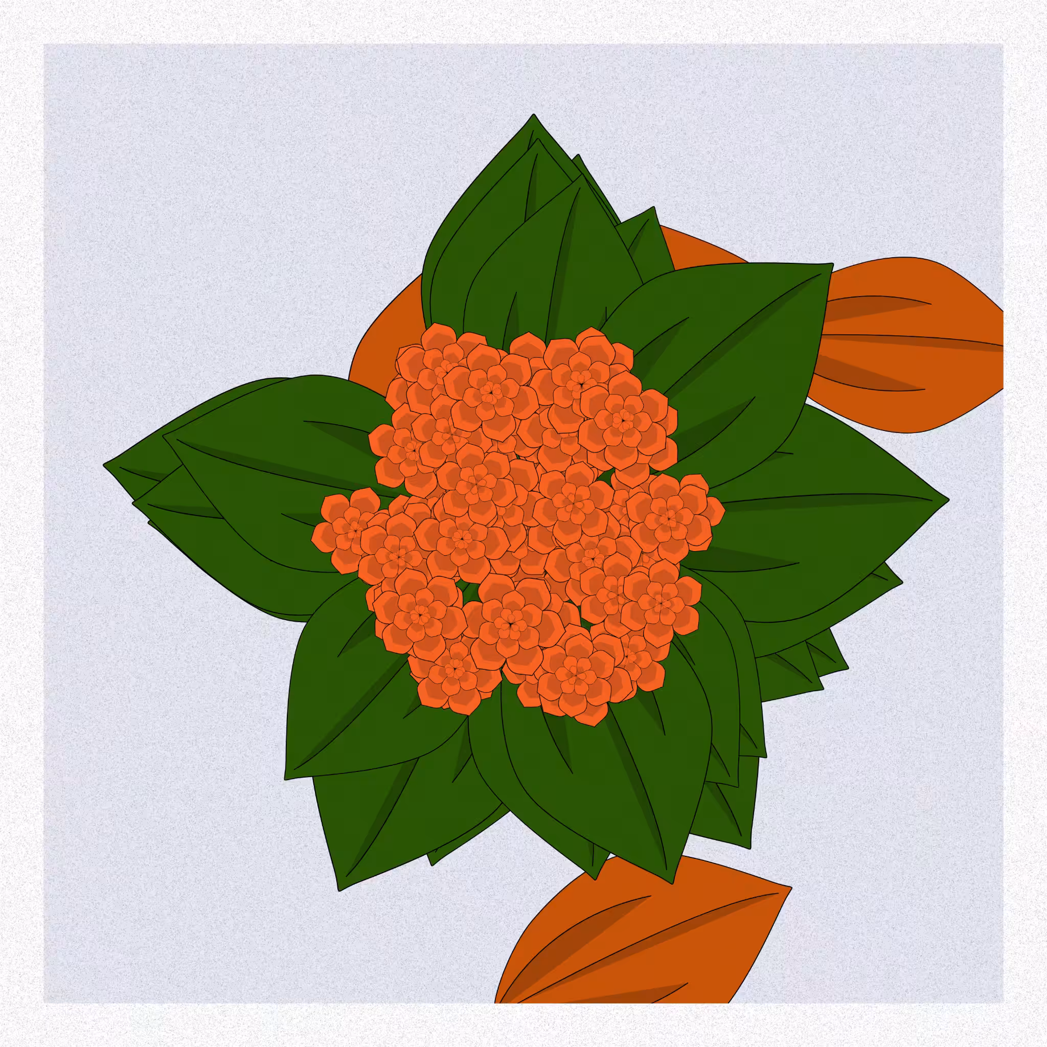 Flowers #94