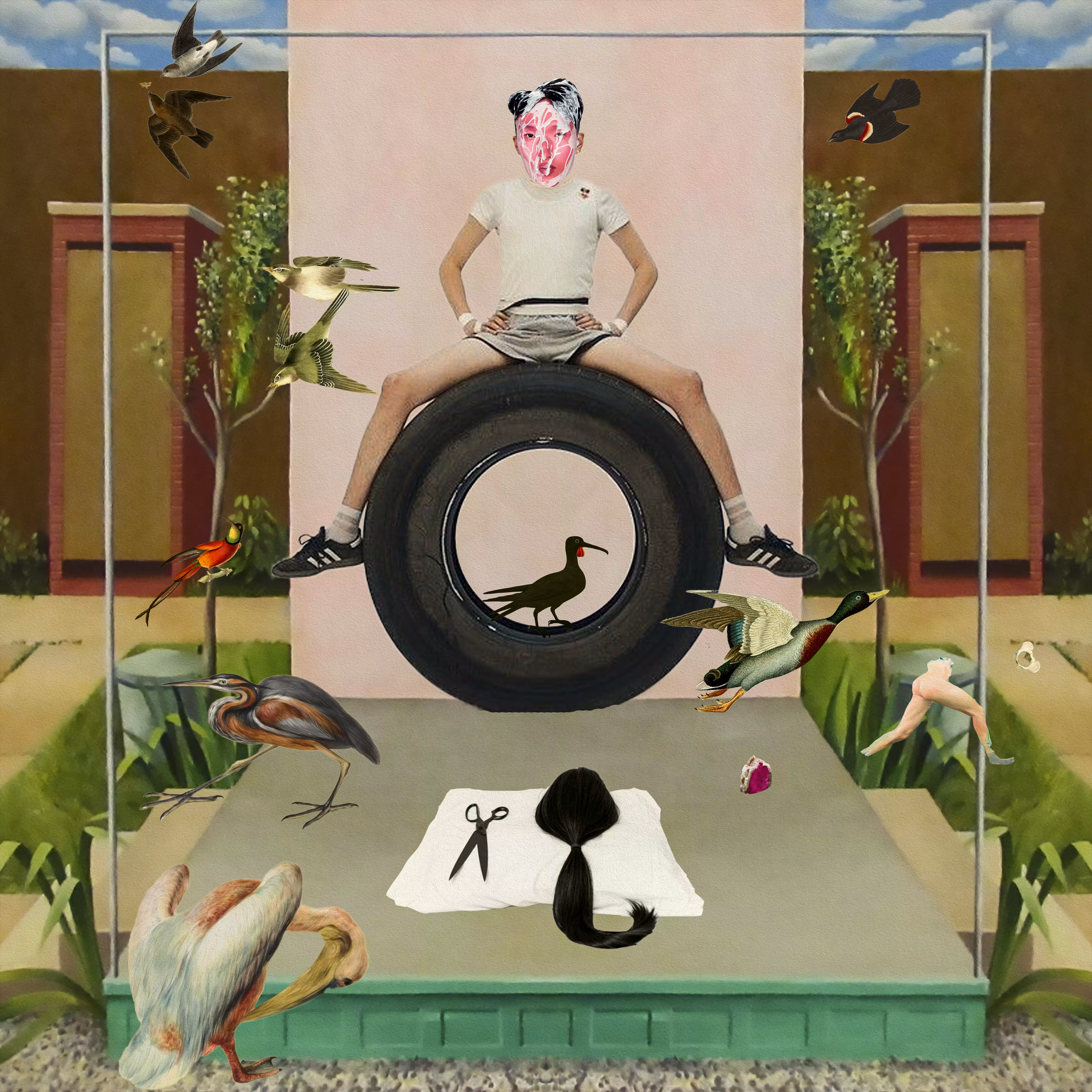 bird yard