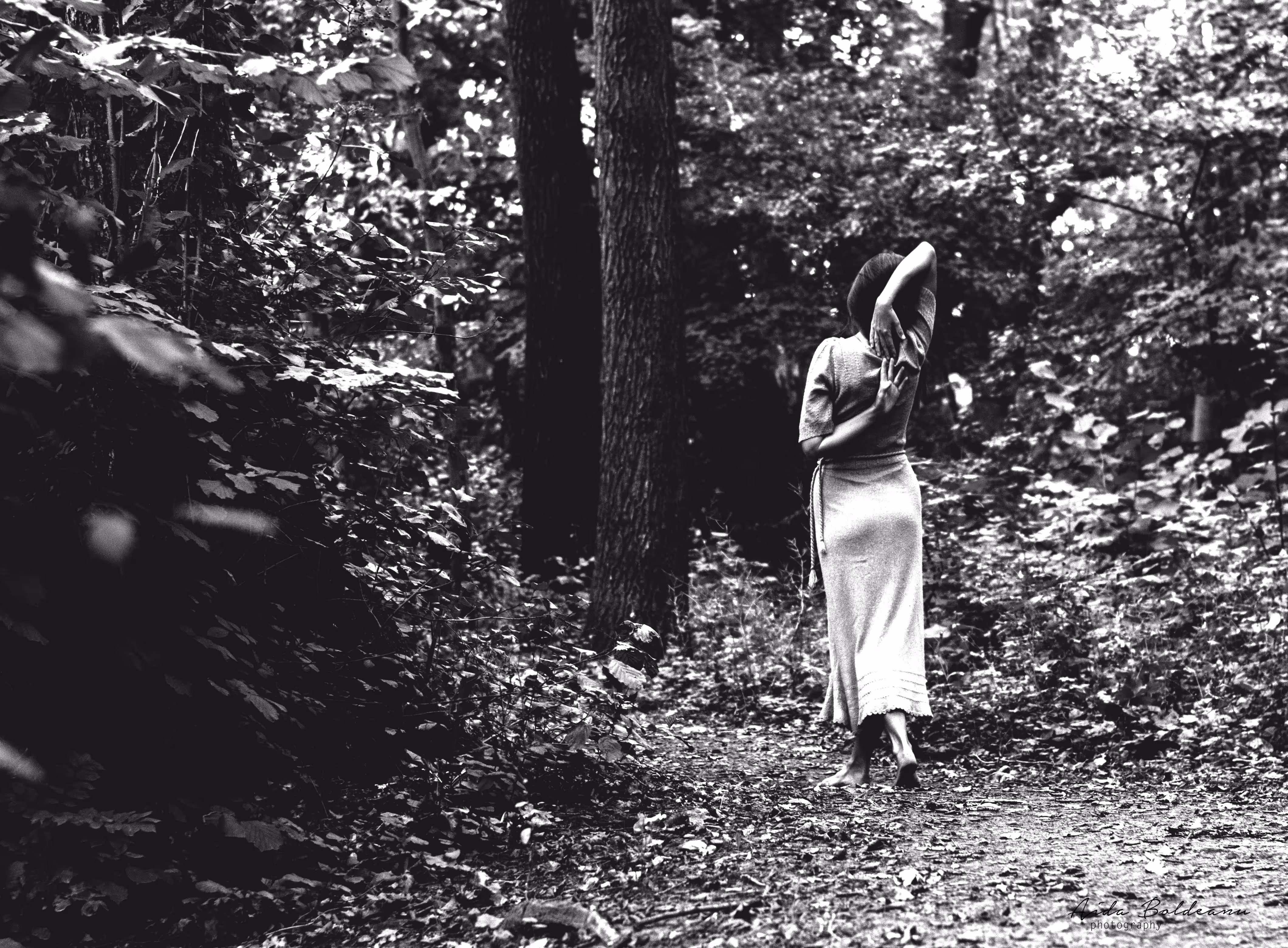 Forest Me