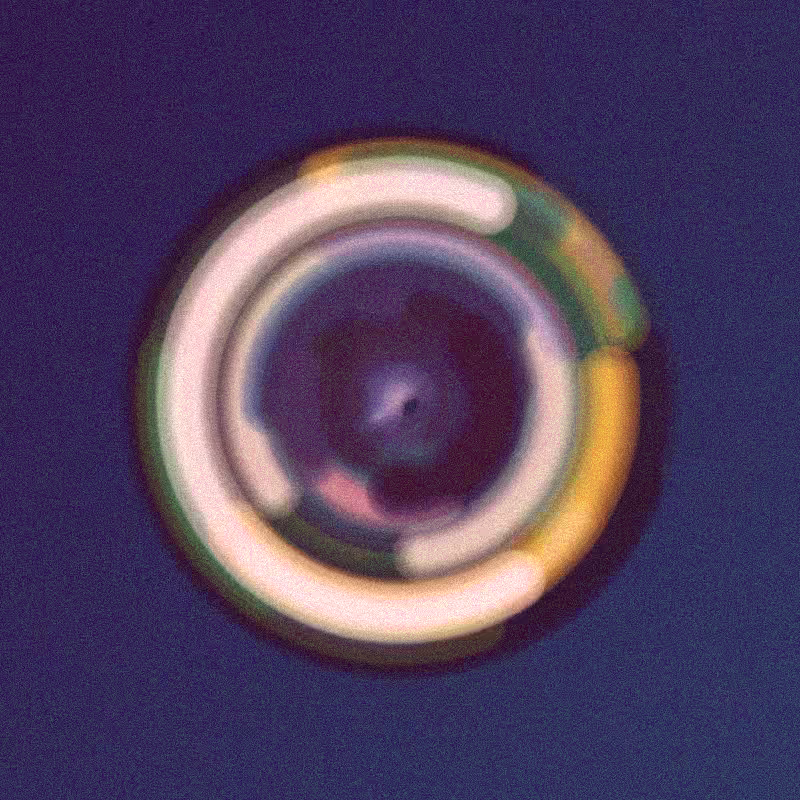 Wisp #303