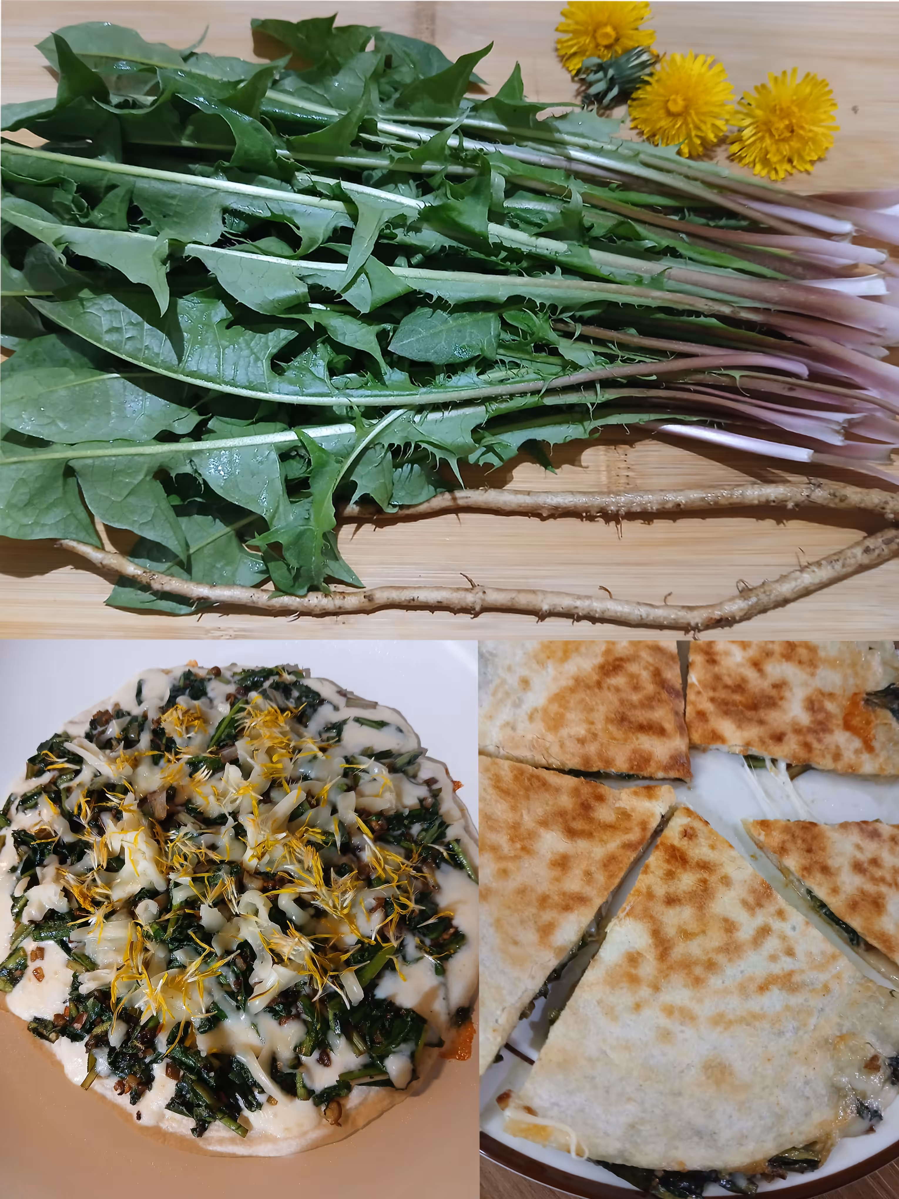 Dandelion Quesadilla