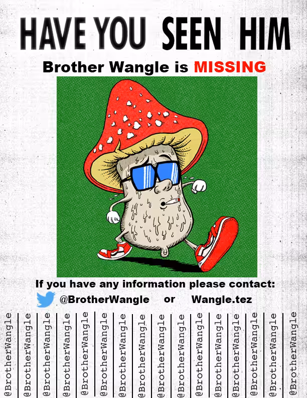 Missing Wangle 41