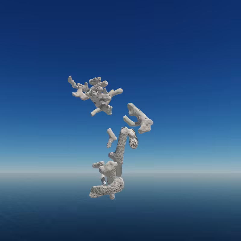 Bone Work (Gulf of Mexico) 2022 #22