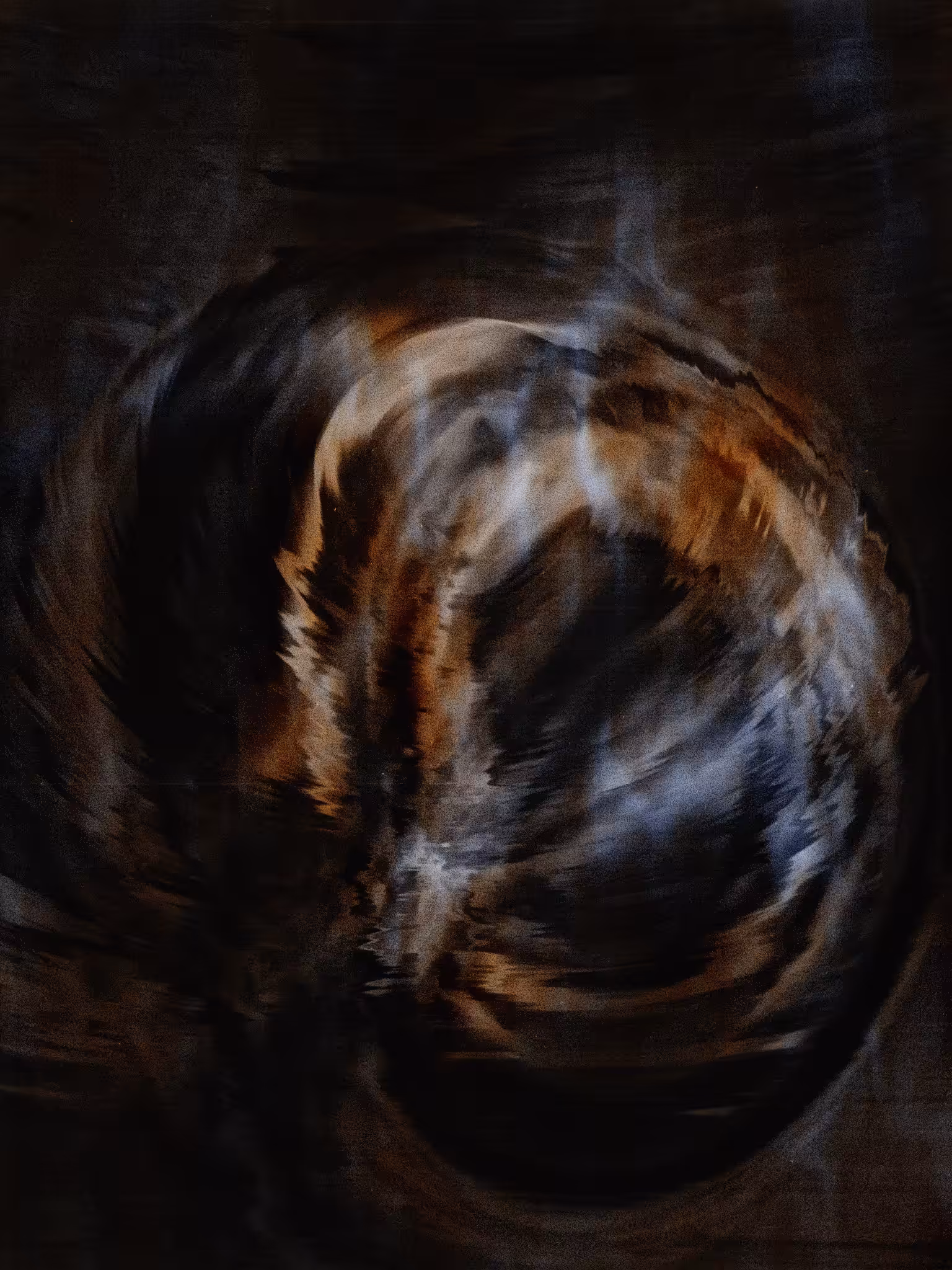 Compression: #322