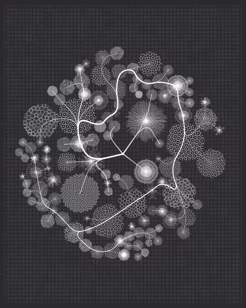 Florilegium #55