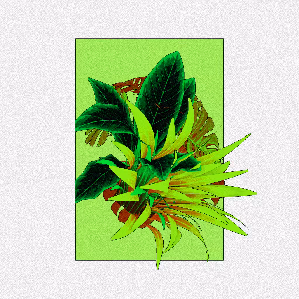 Botany #172