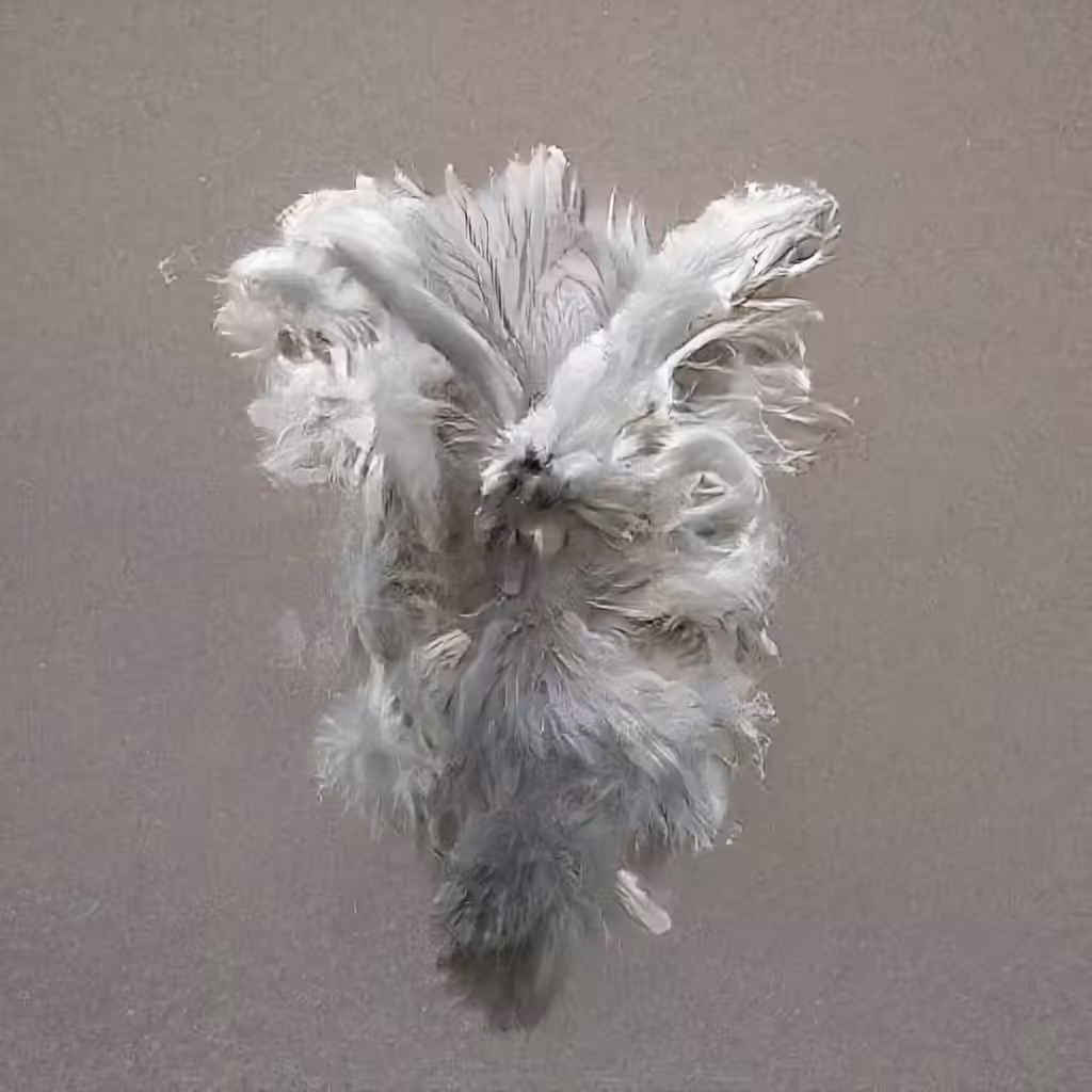 The Non-Human Artwork Project #37