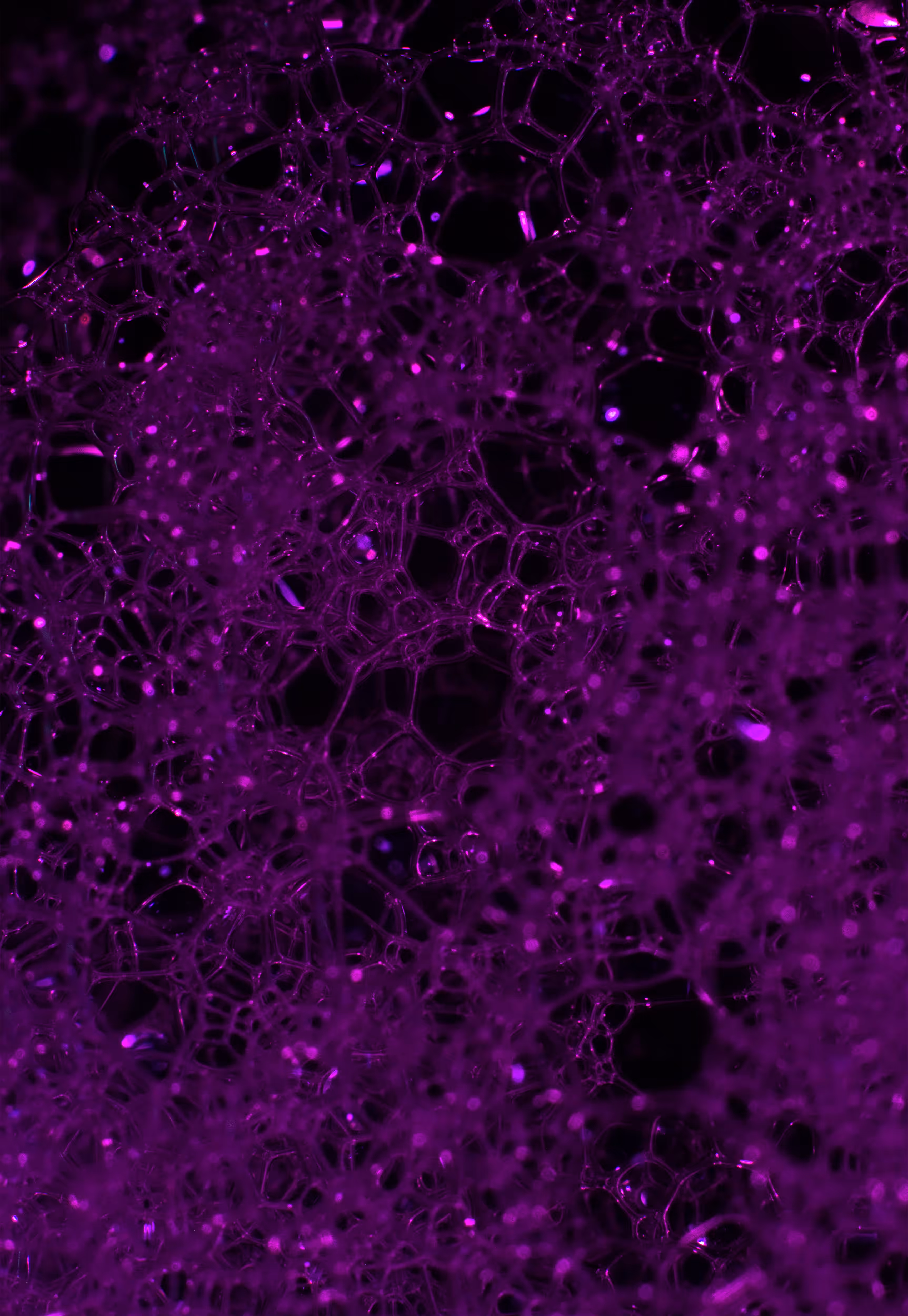 Abstract World of Soap Bubbles: #165 Bubbles
