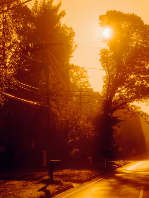 Calm Overcomes Heat