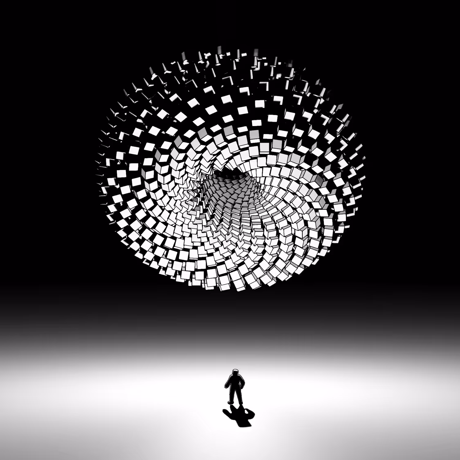 The eye