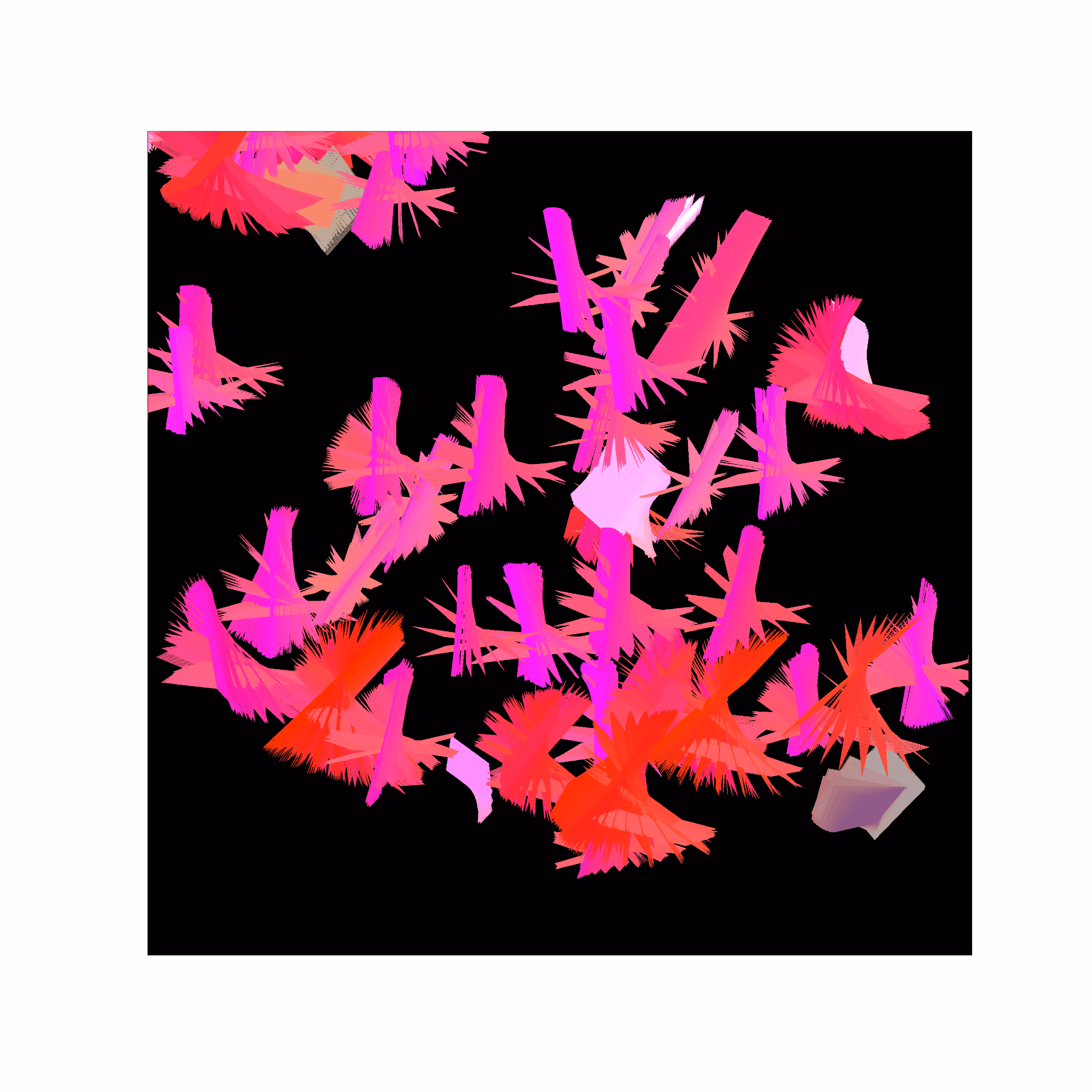 Coral (5)