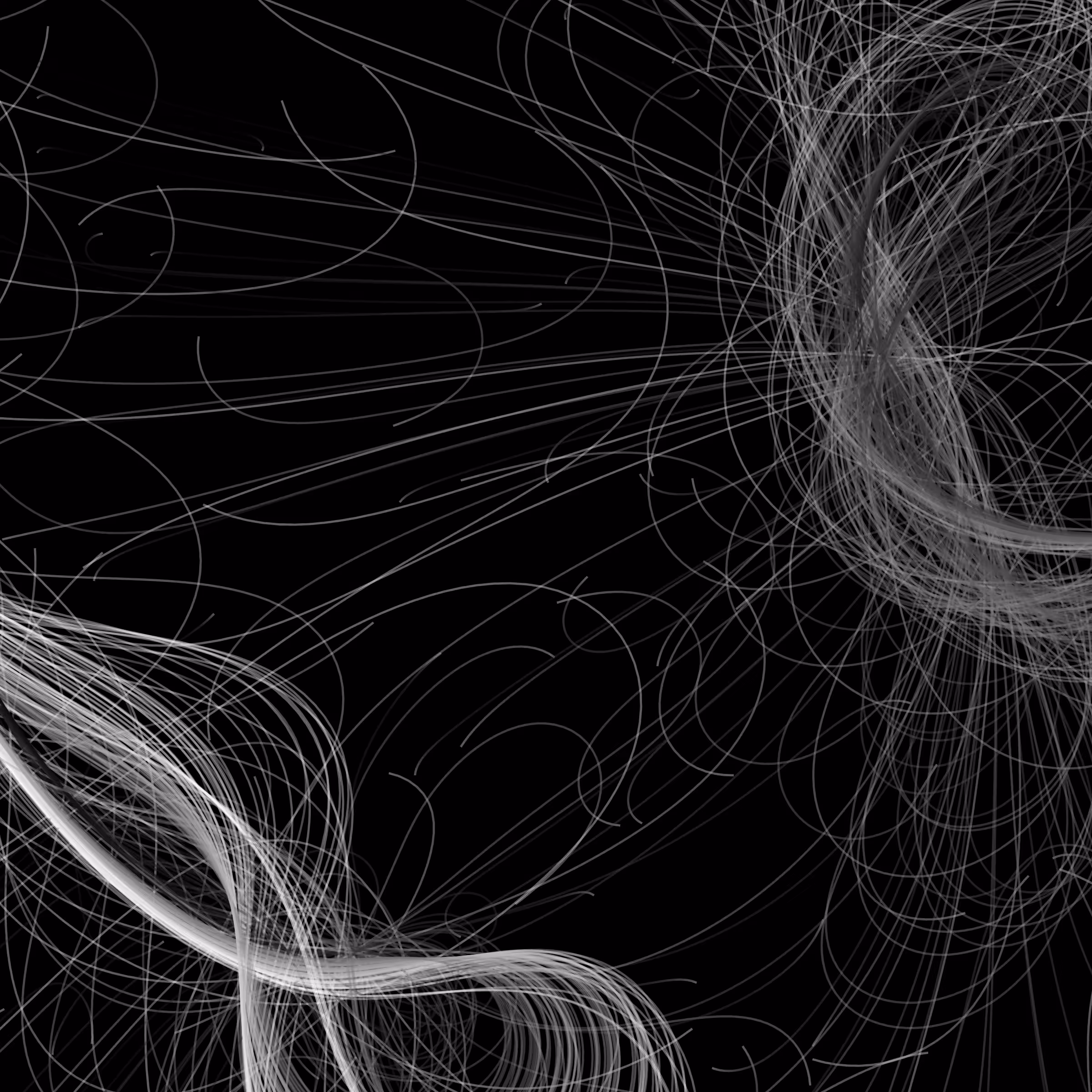 Phototaxis #675