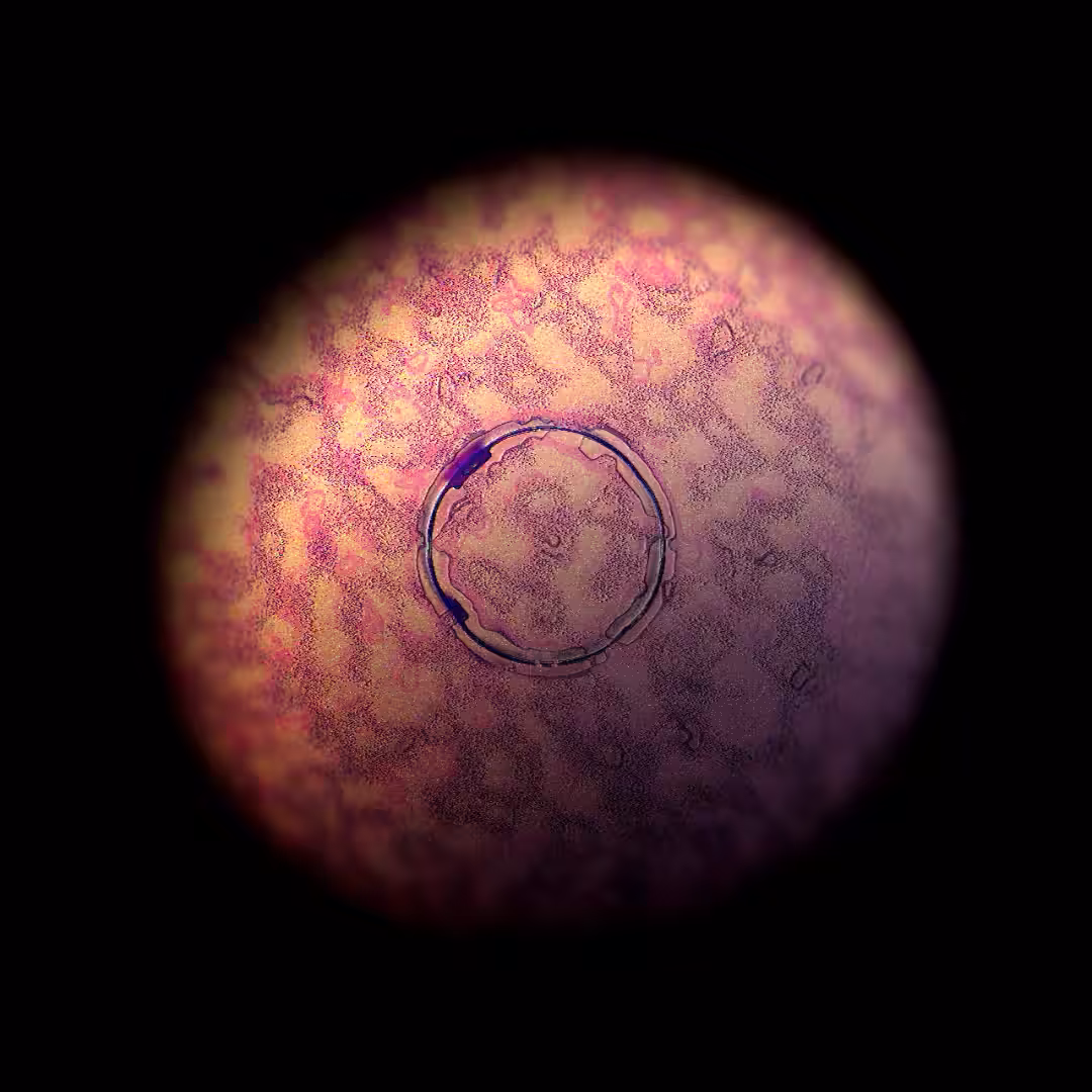 Cell