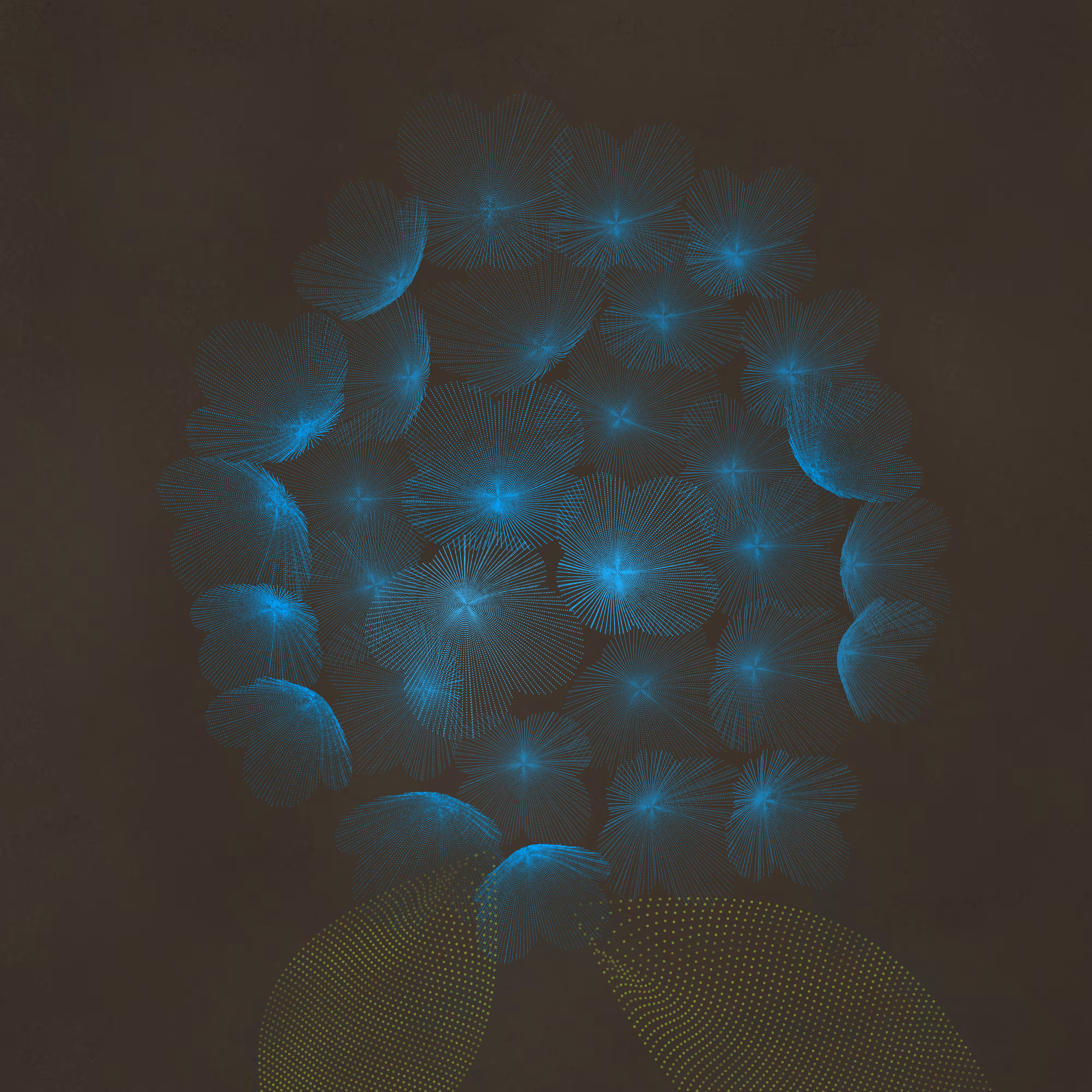Flower Study #6