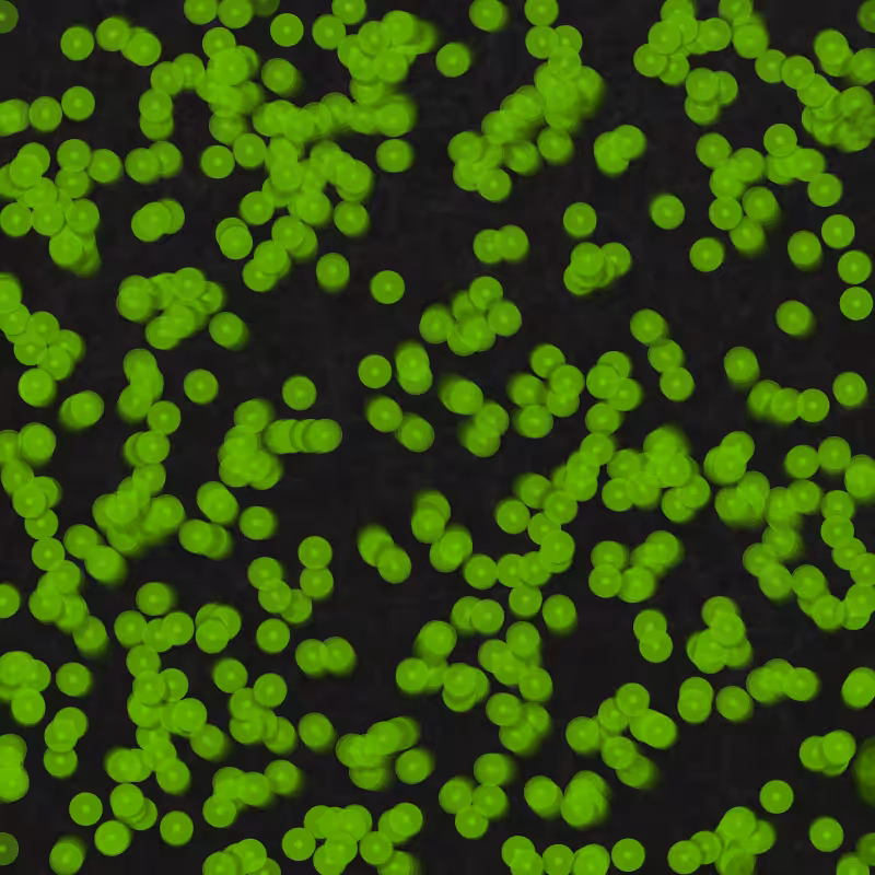 Telophase #1