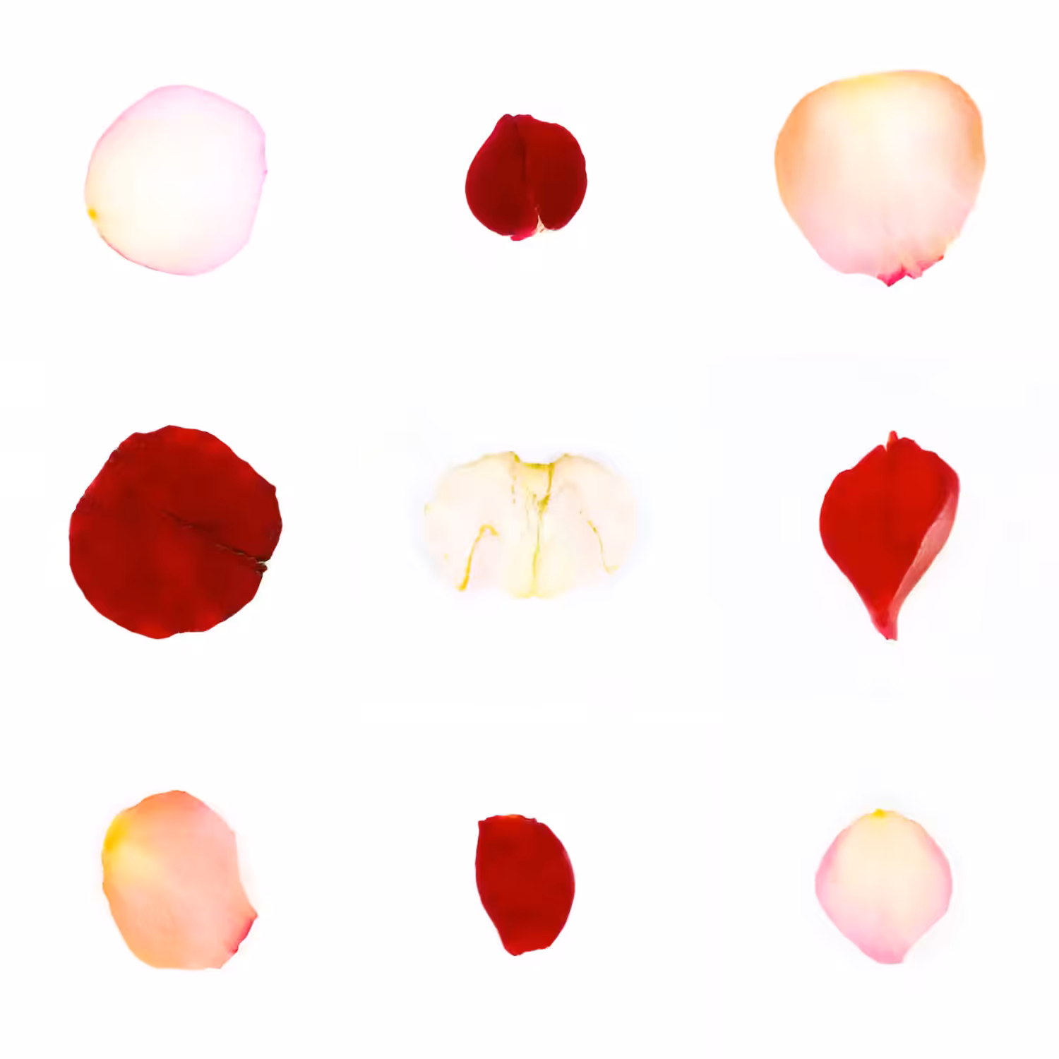 Infinite Petals 3x3#3192