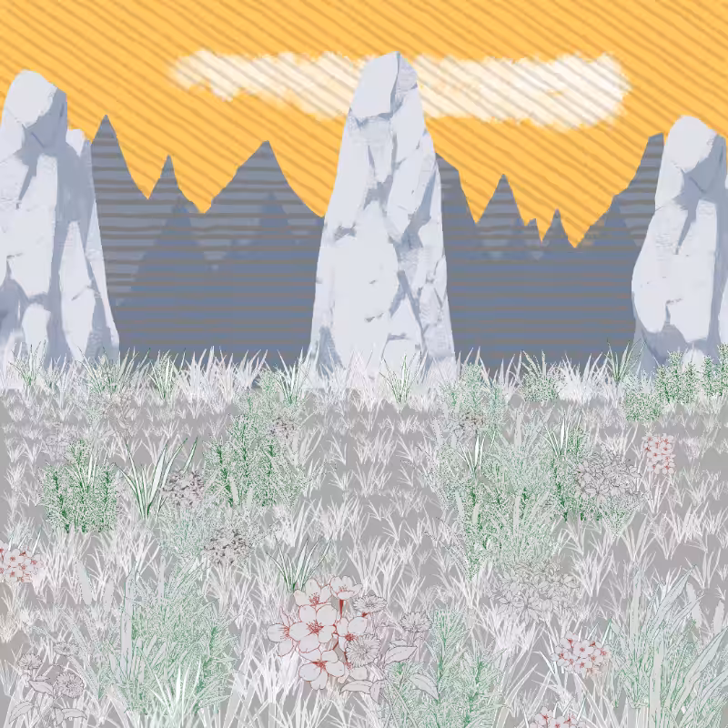 Mountain Meadows #49