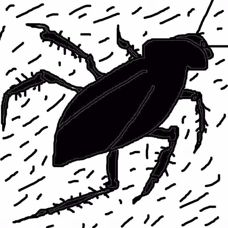 cockroach