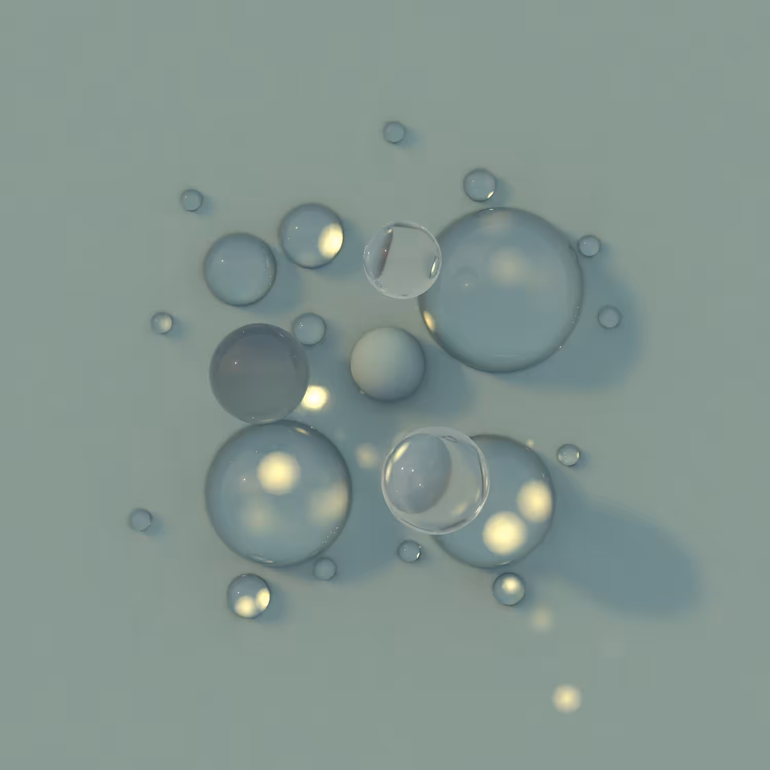 Circle #43