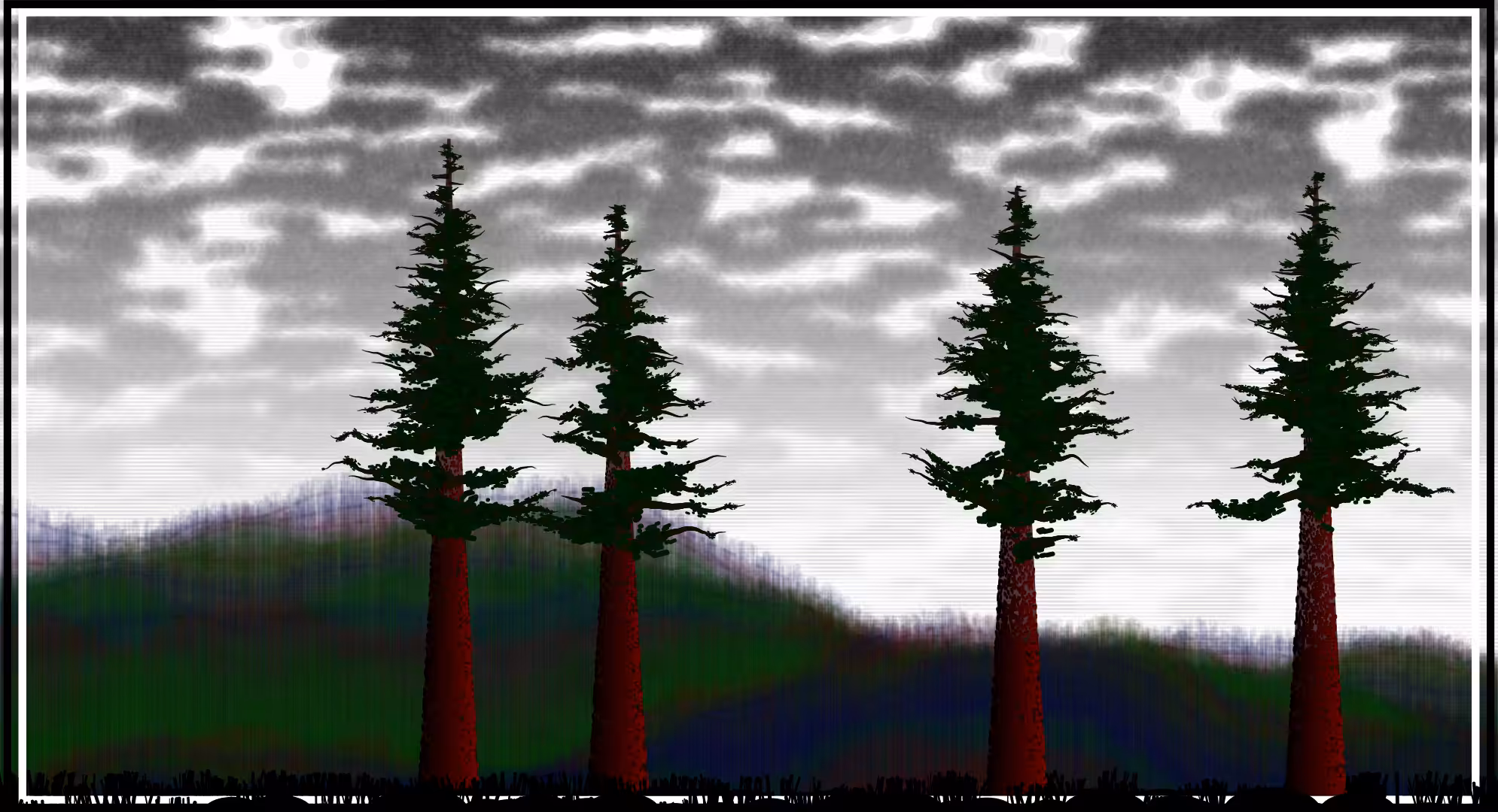 Sequoias #6