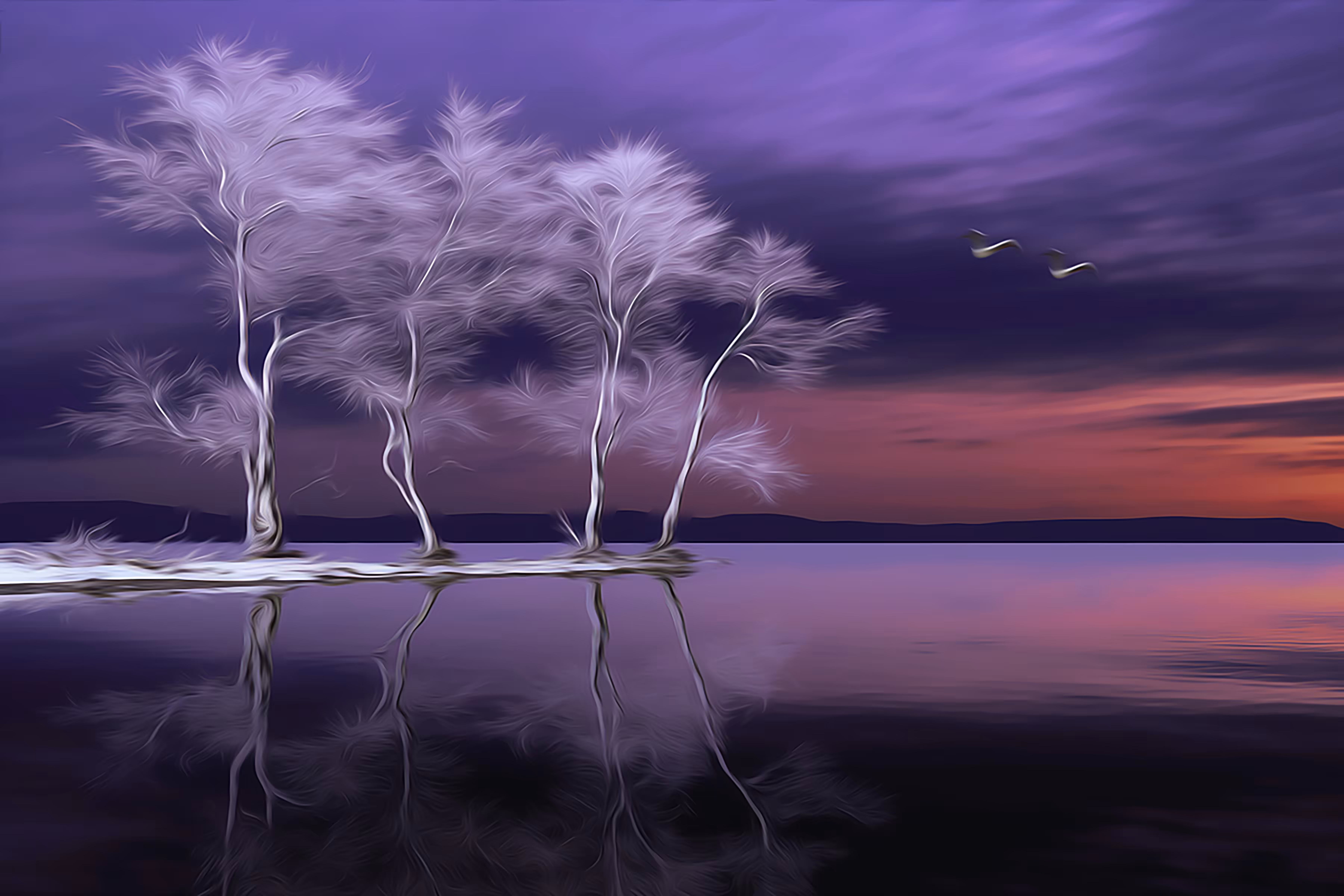 Scape 3