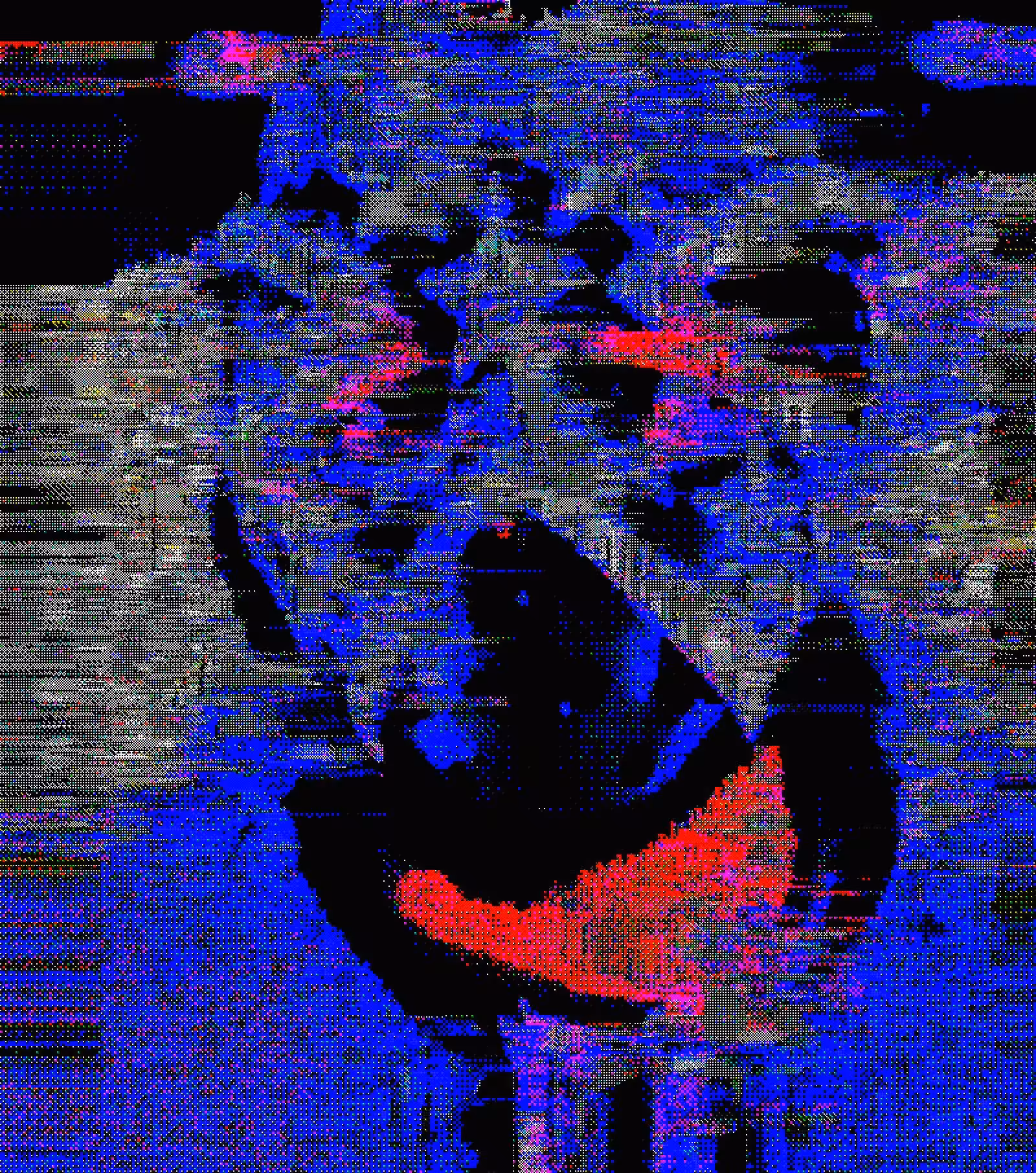 Midnight Bandit