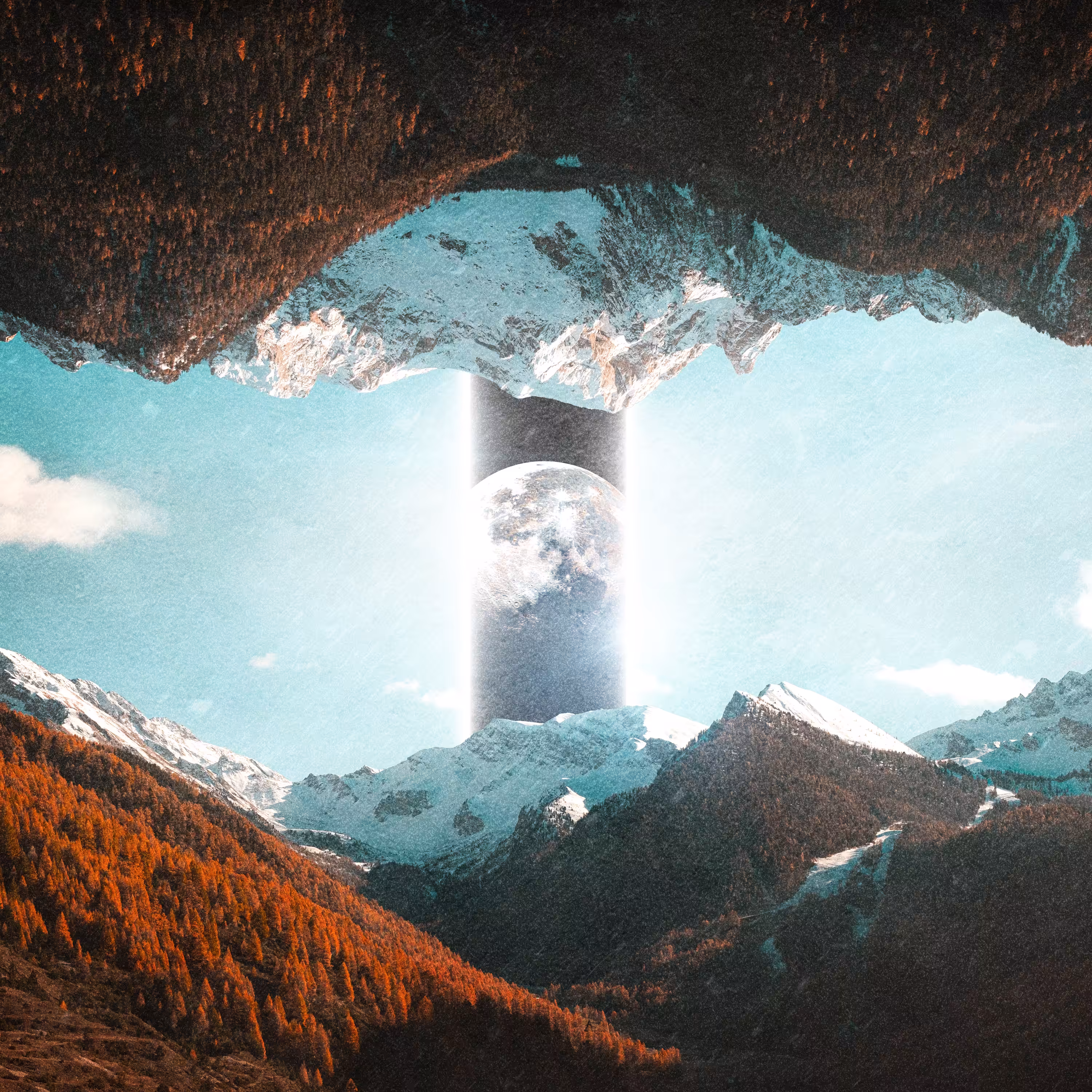 Signal