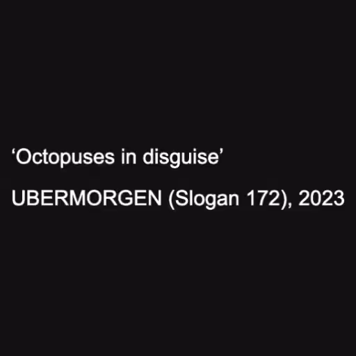 ‘Octopuses in disgui...