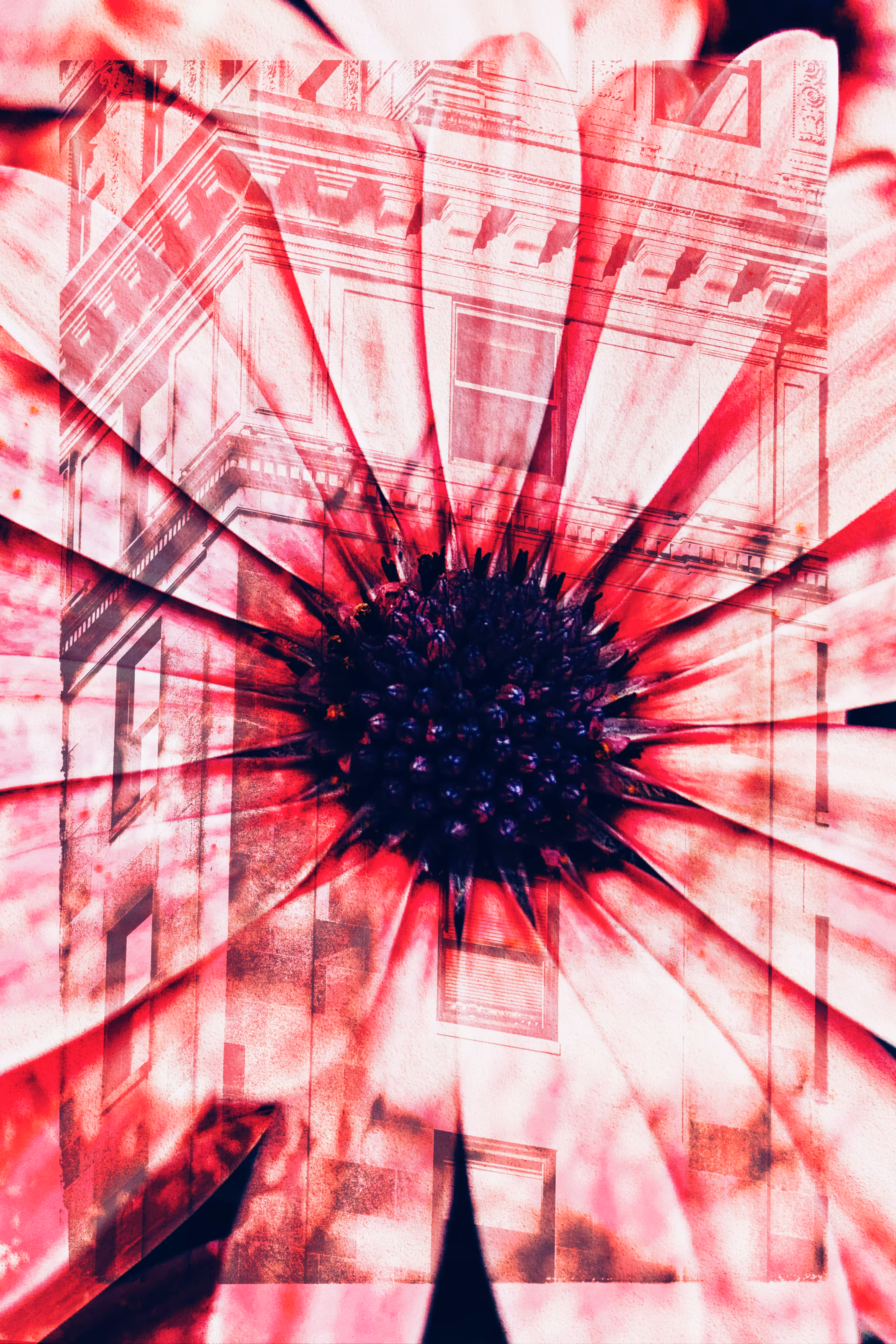 Symbiotic Collage 1/3