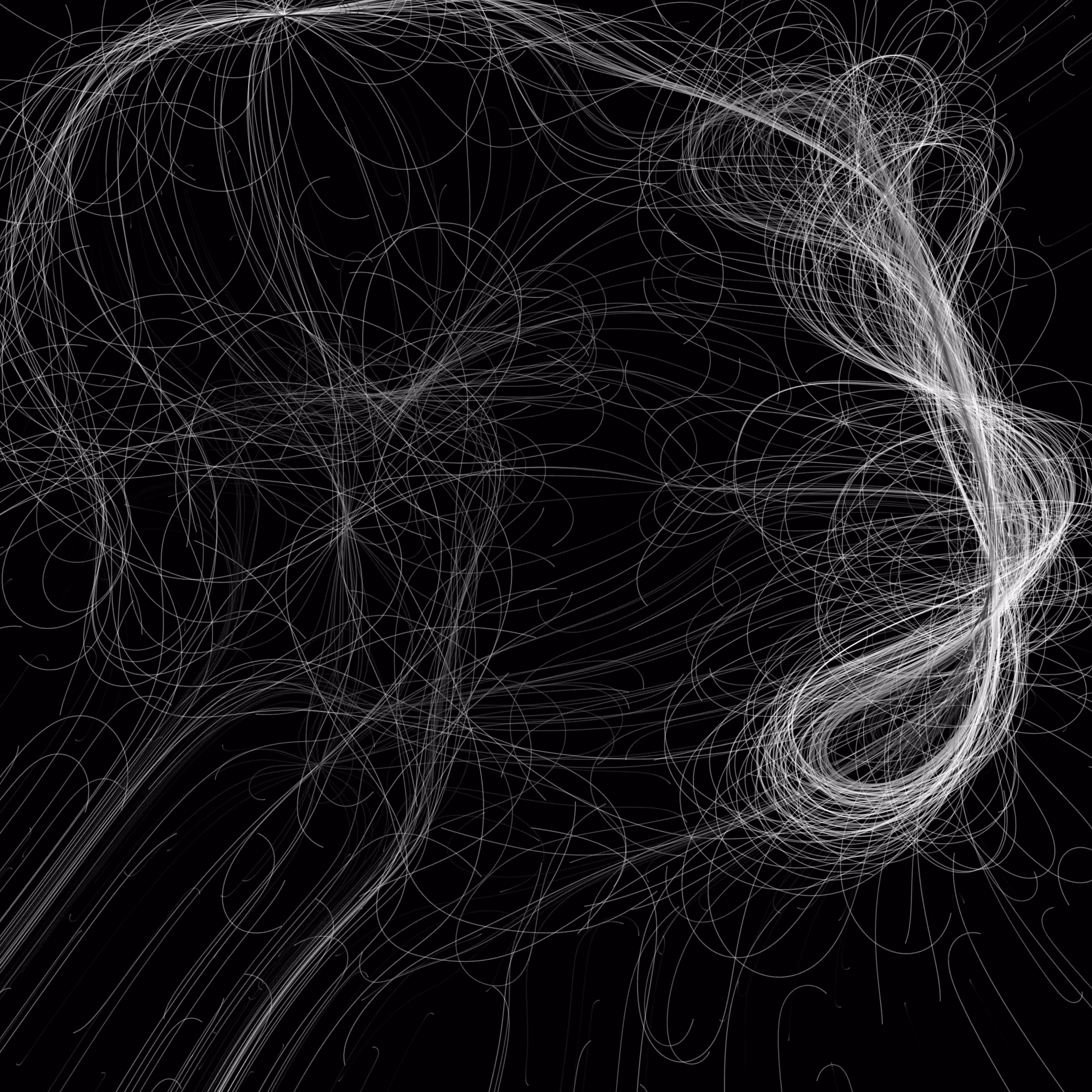 Phototaxis #192