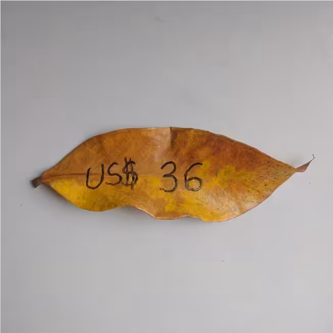 US$ 30