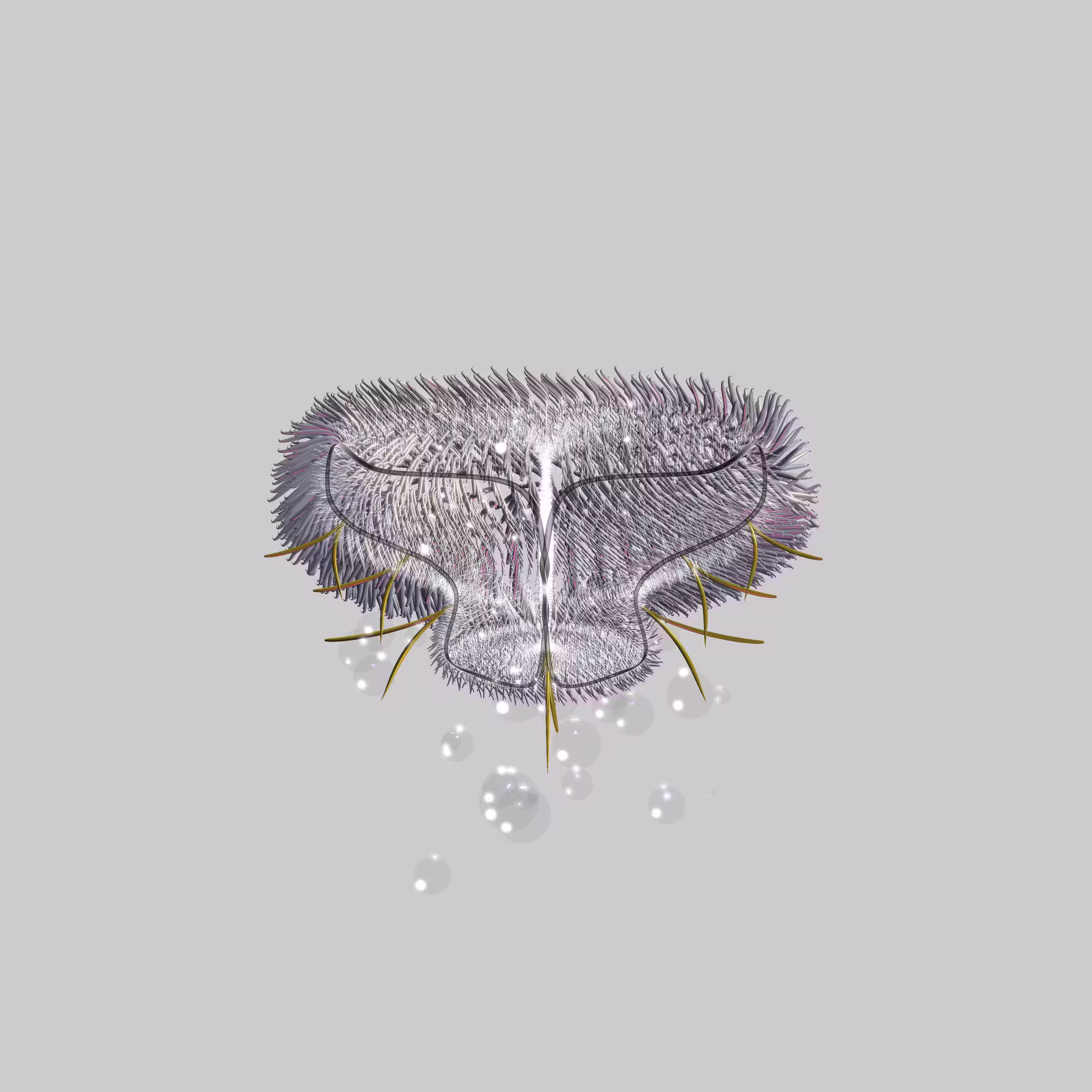 Lycorises #4