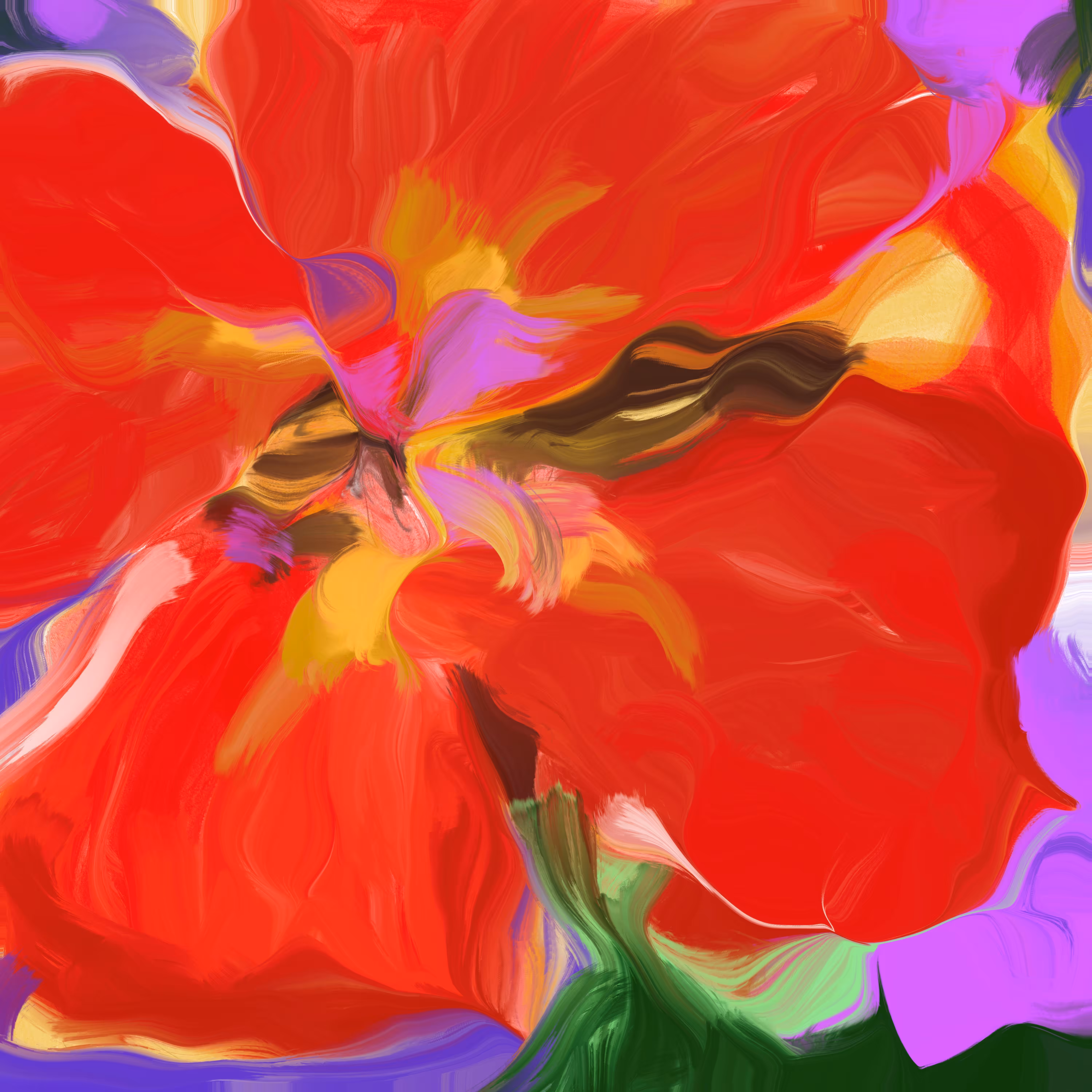 Hibiscus