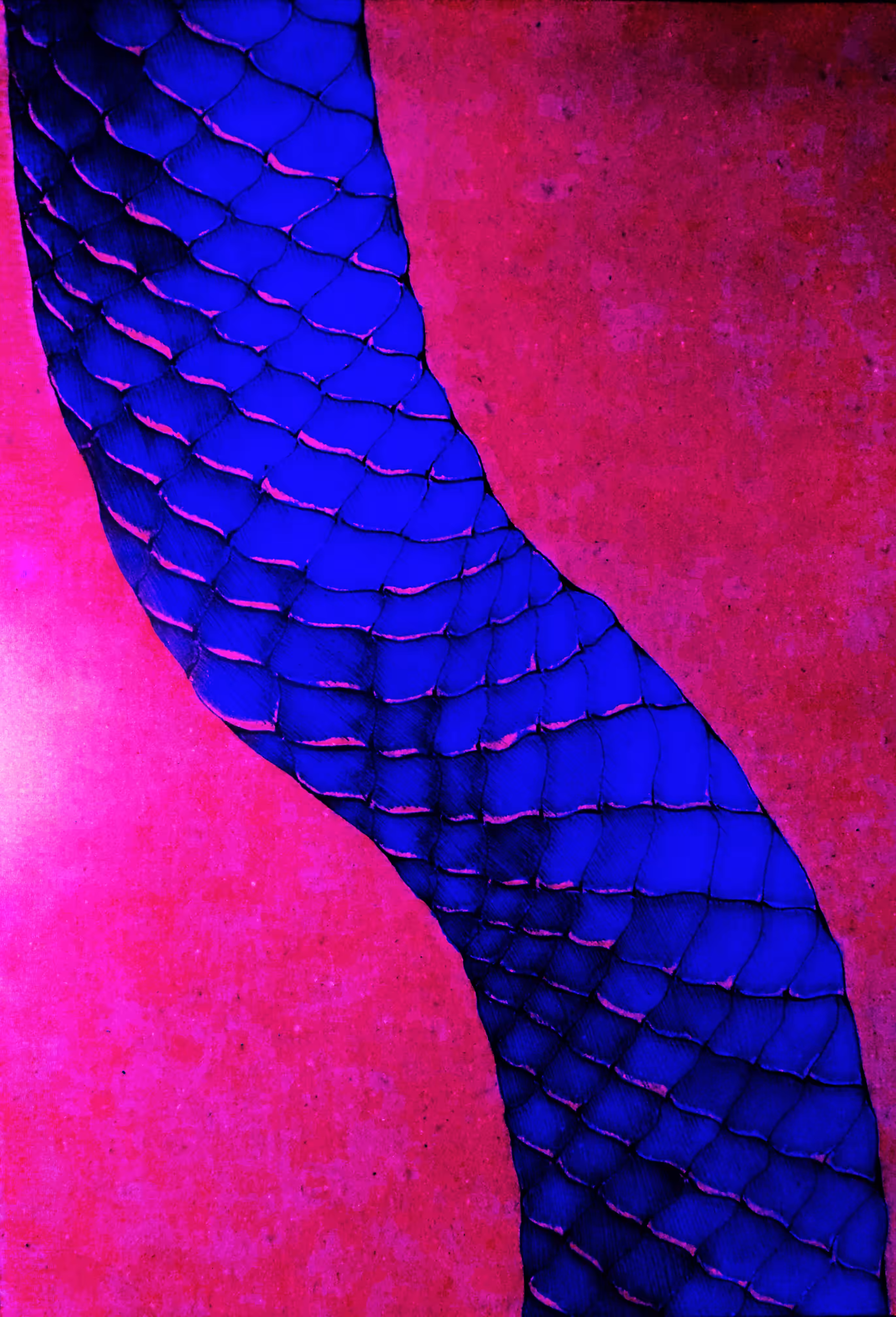 serpente