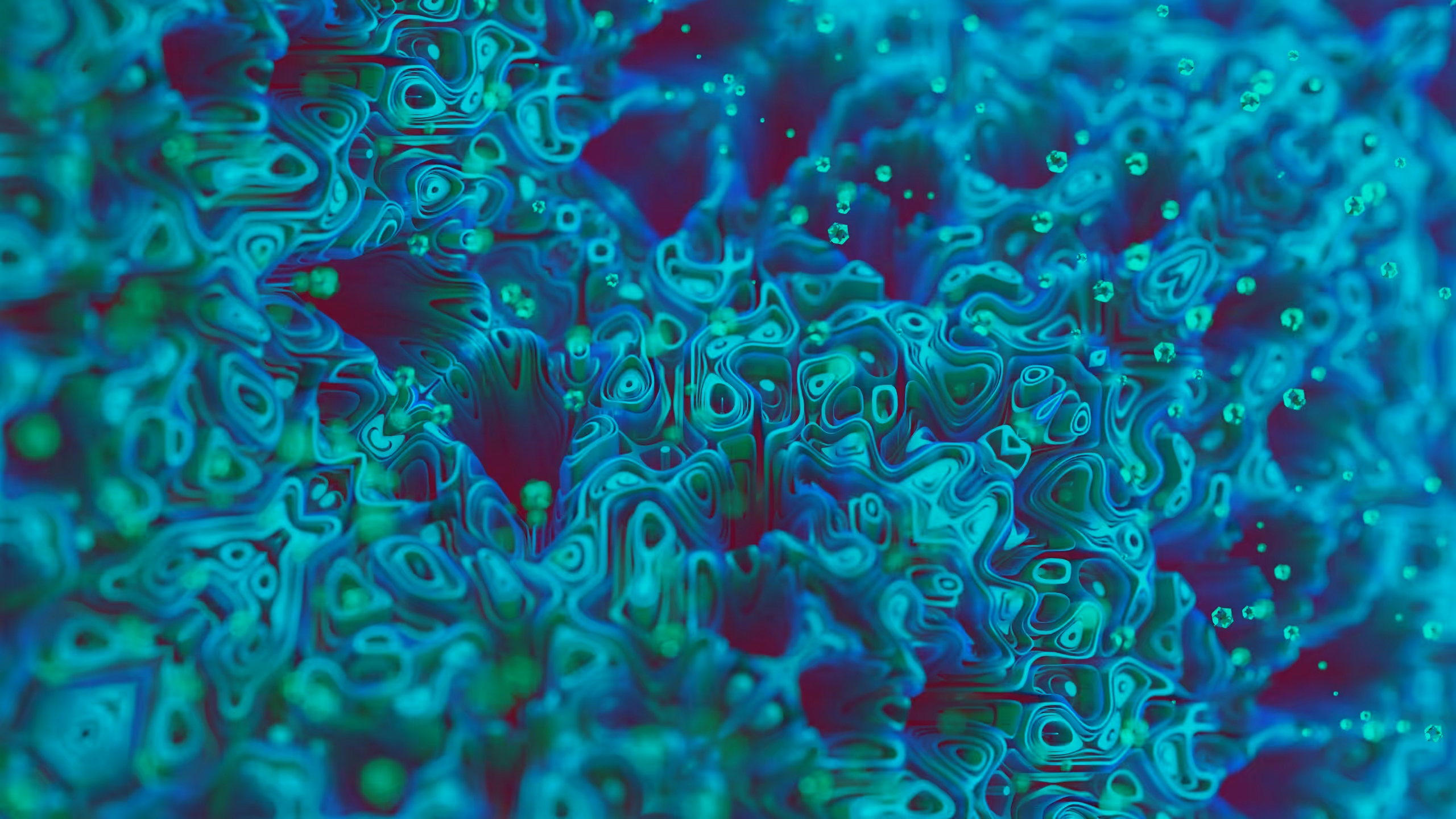 SPD OBSESSION 06 - INSERTIS ORGANICUM SE