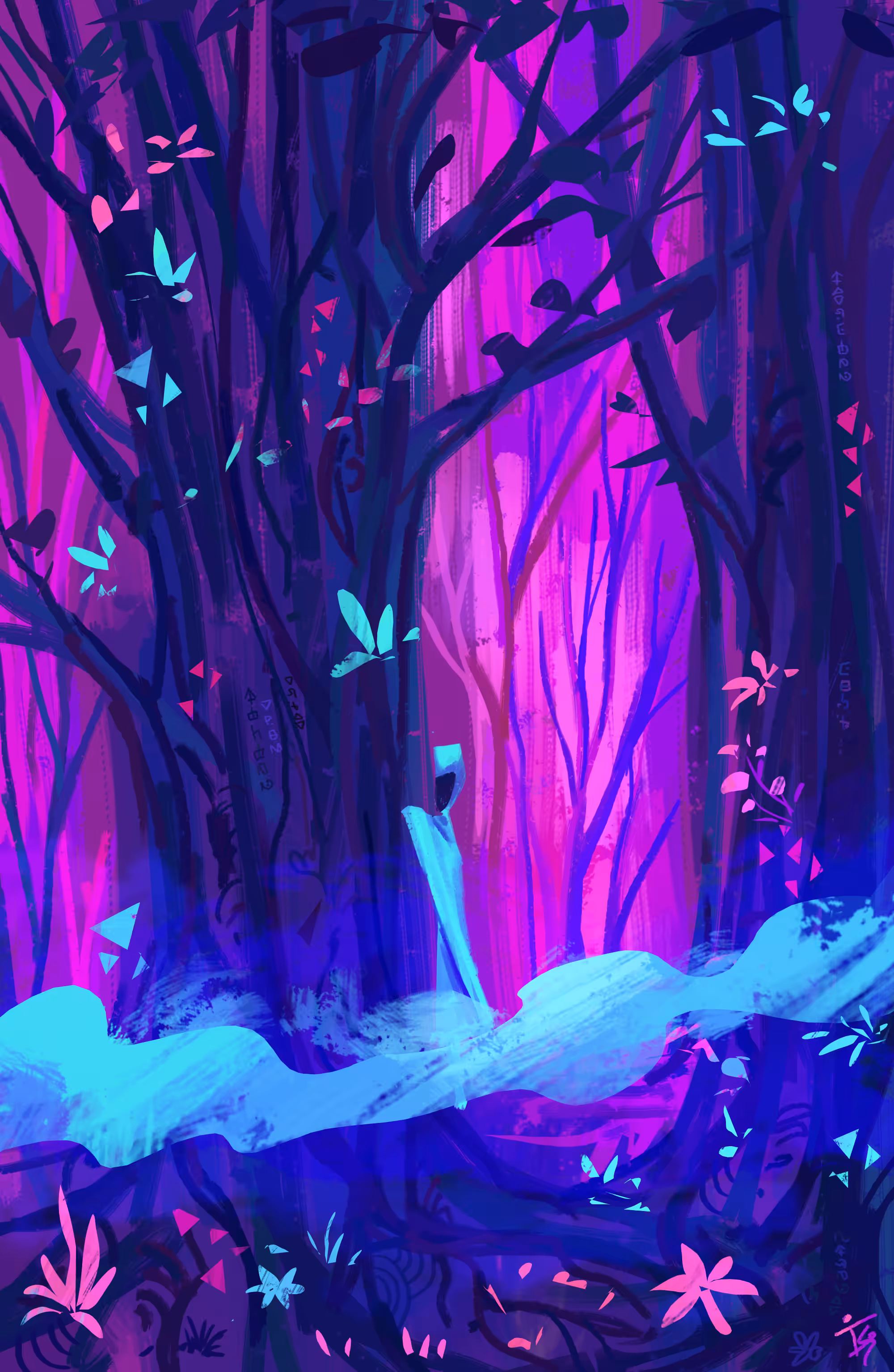 Veiled Wonders
