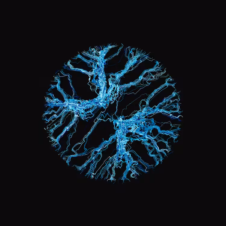 Ginseng #5