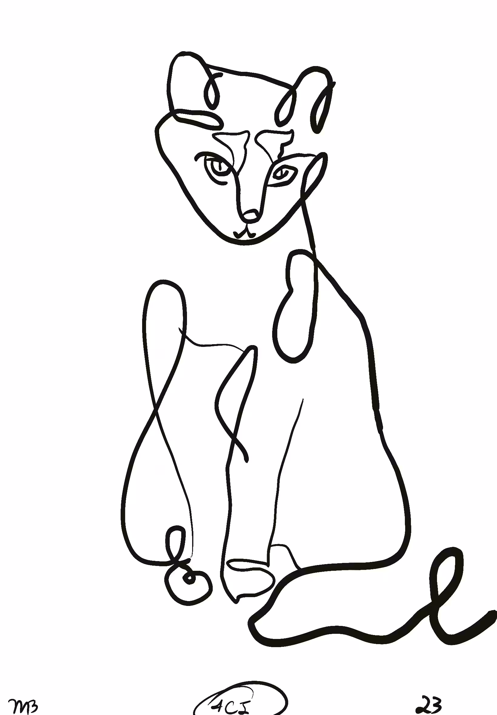 Callie 
