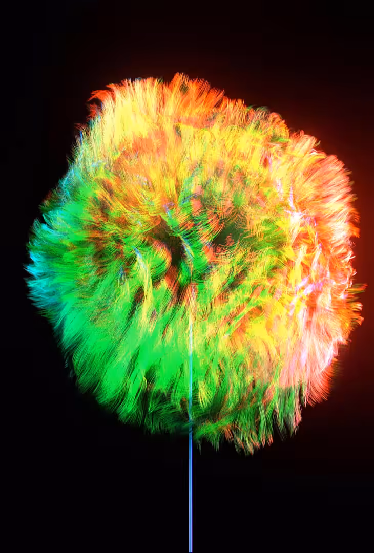 Dandelion Dance #3