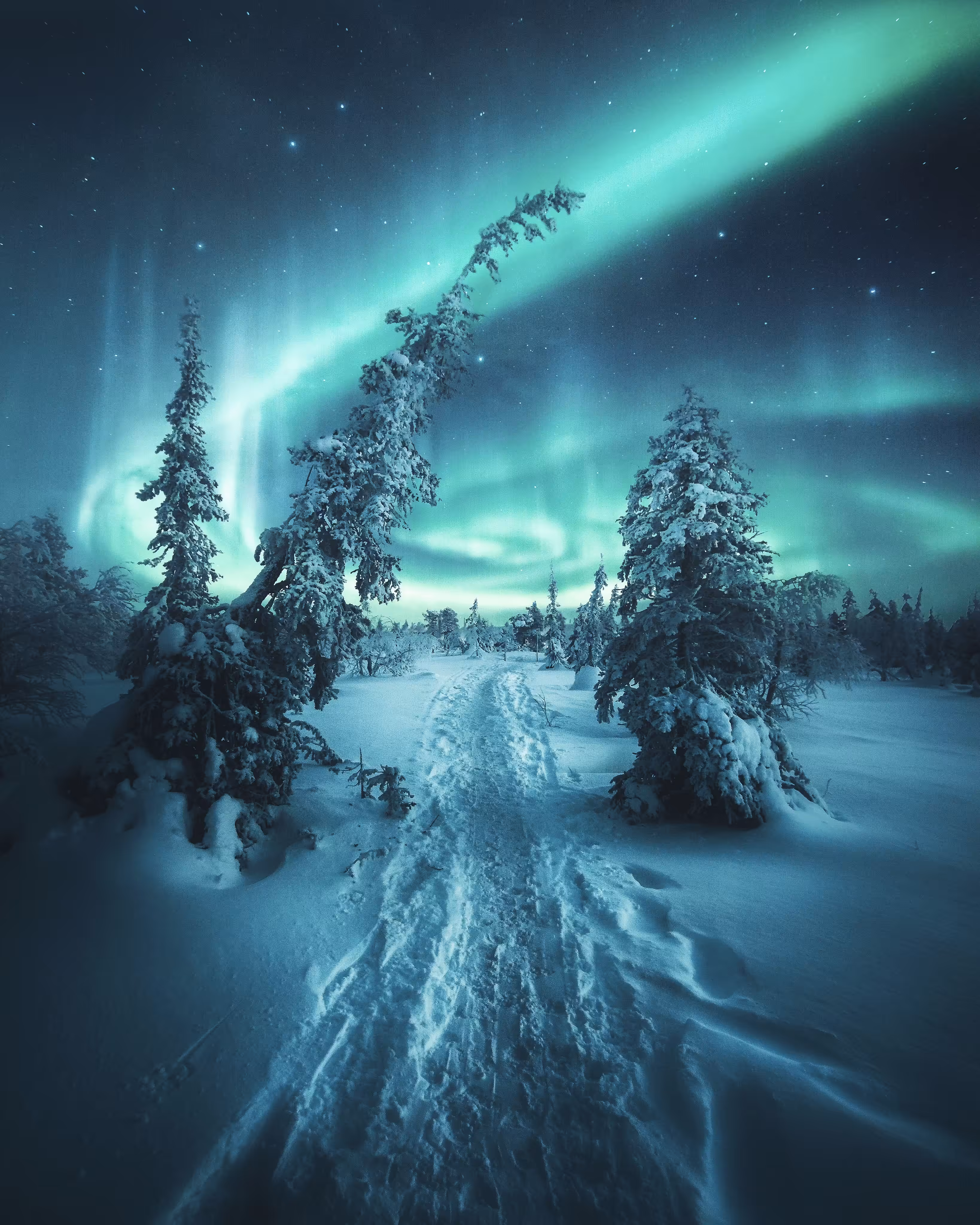 Follow the Lights