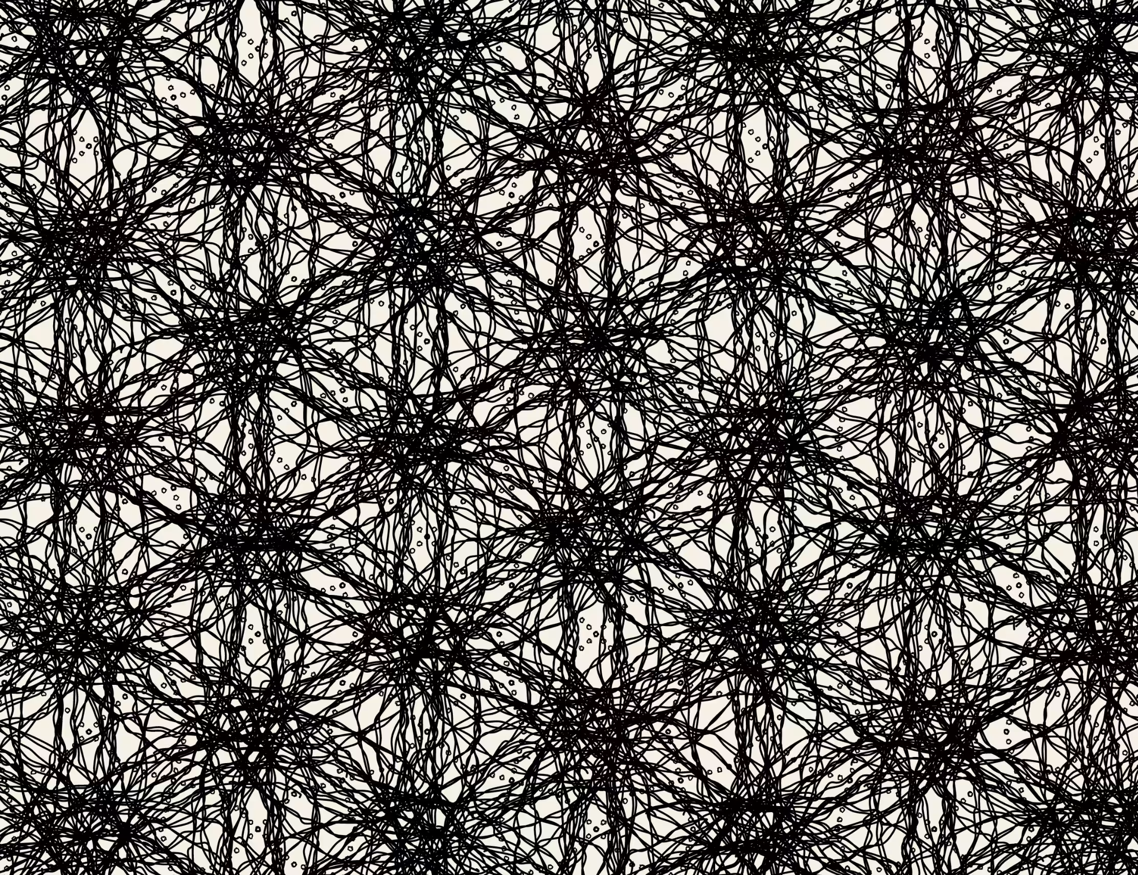 No4