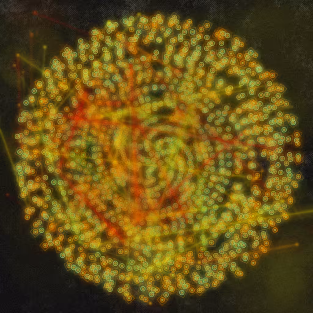 espiral #31