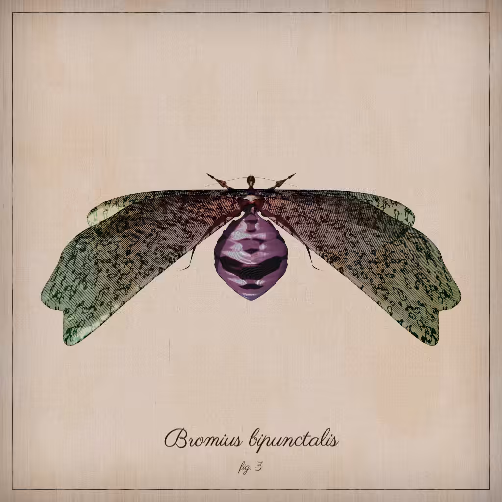 ProcGen Entomology #372
